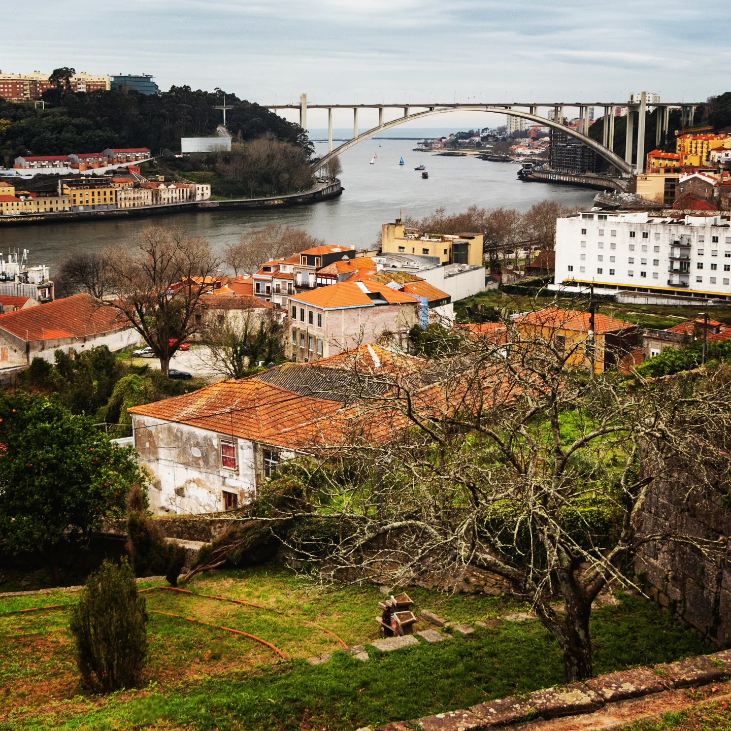 A wide view of Porto’s Douro River with the Arrábida Bridge in the distance, framed by orange rooftops and green hillsides.