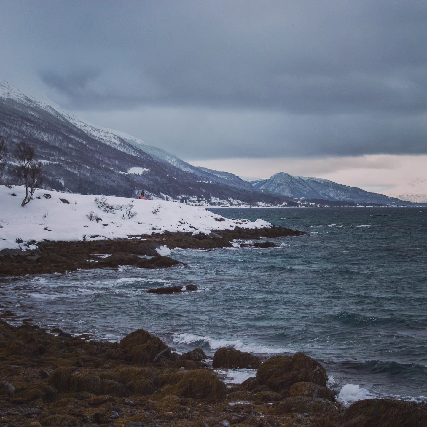 Snowy shoreline with jagged rocks meets a choppy sea beneath dark, brooding clouds and snow-covered mountains.