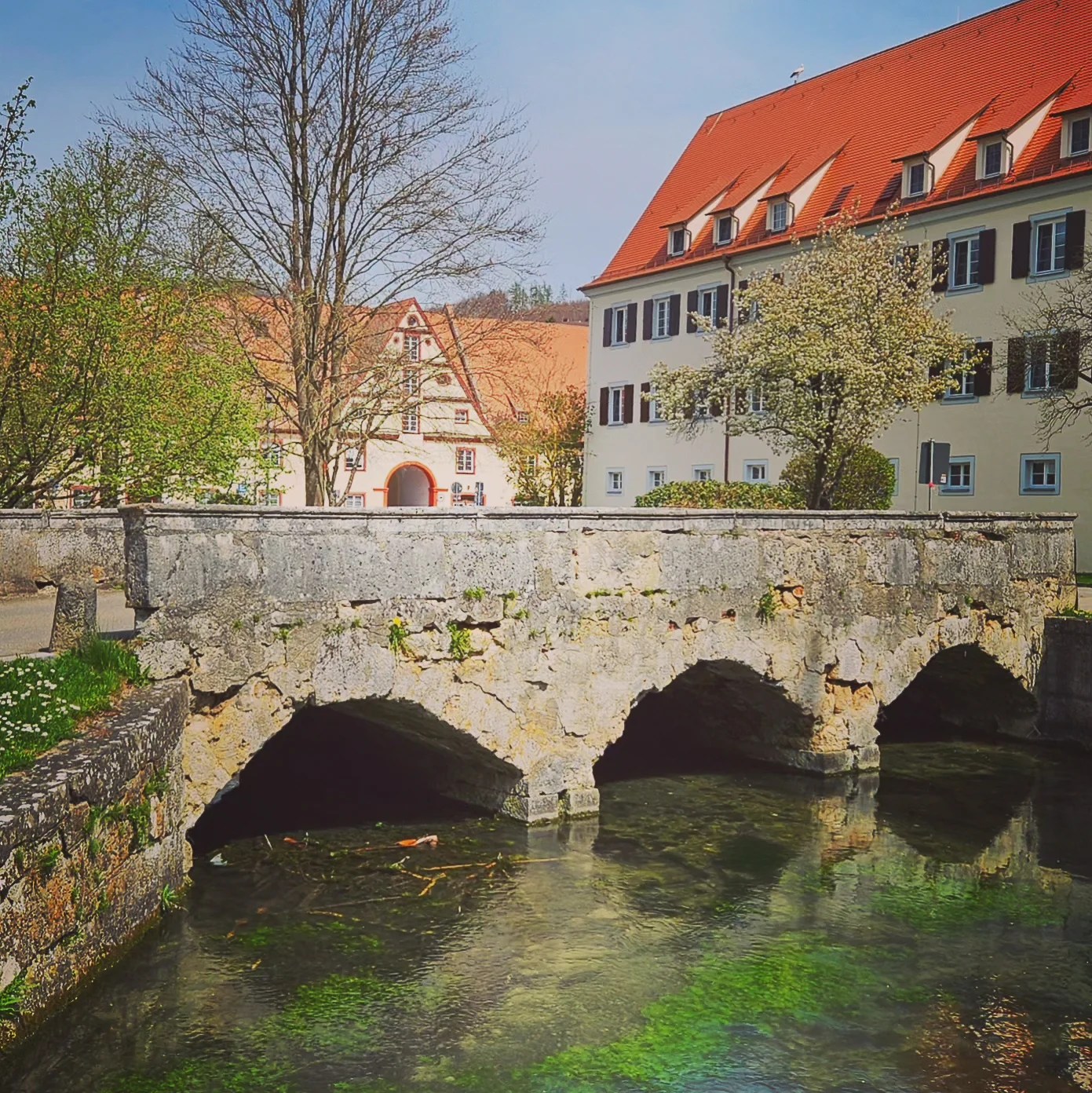 Historic stone arch bridge over the Zwiefalter Ach river in Zwiefalten, Germany, with traditional buildings and spring foliage in the background.