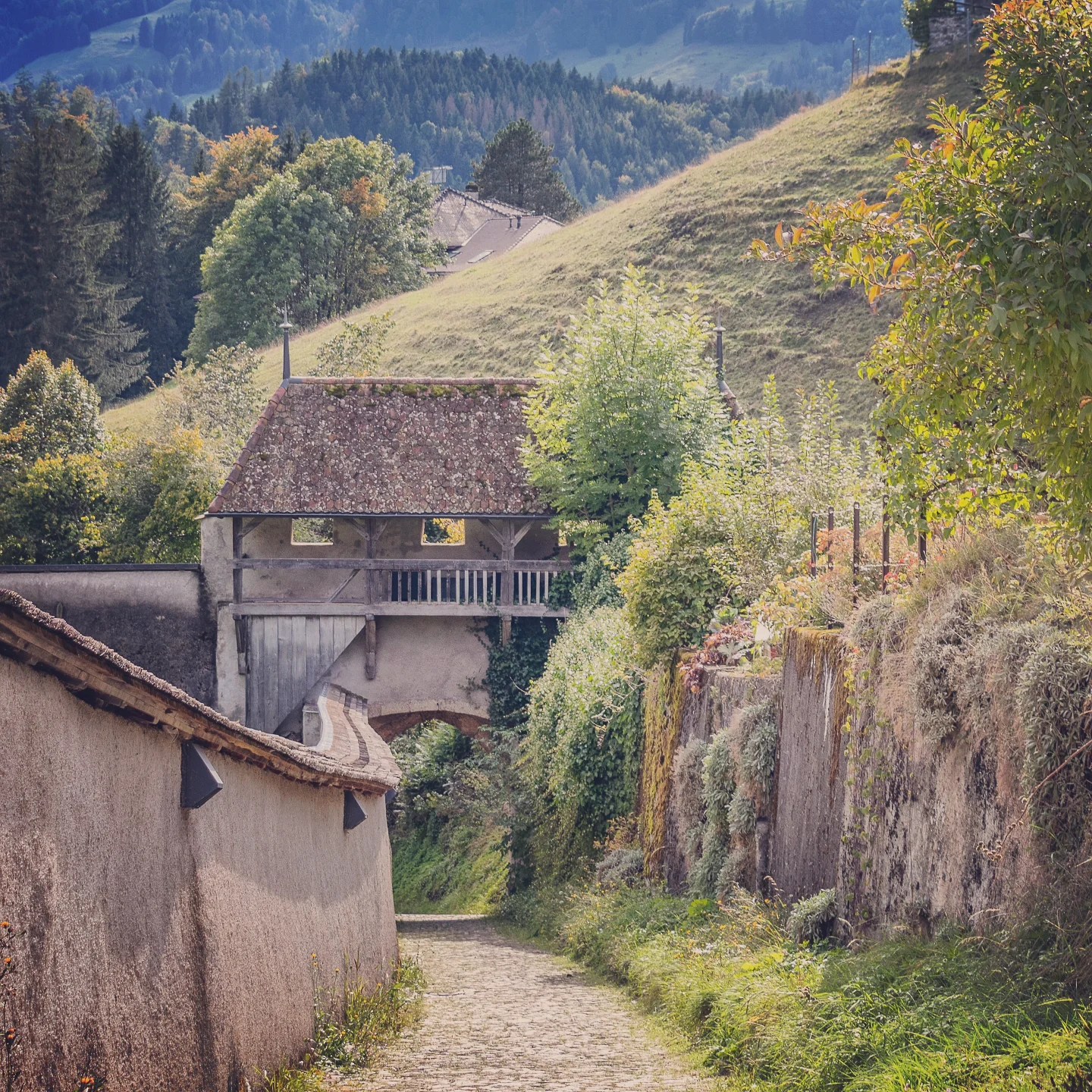 Mossy walled path leading to a covered wooden gatehouse; rolling hills and forest in the background.