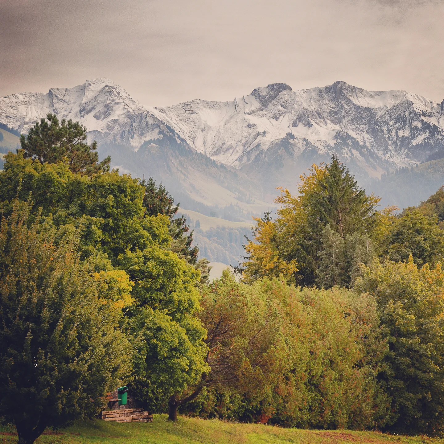 Autumn forest in the Fribourg Pre-Alps with fresh snow dusting jagged mountain peaks beyond.