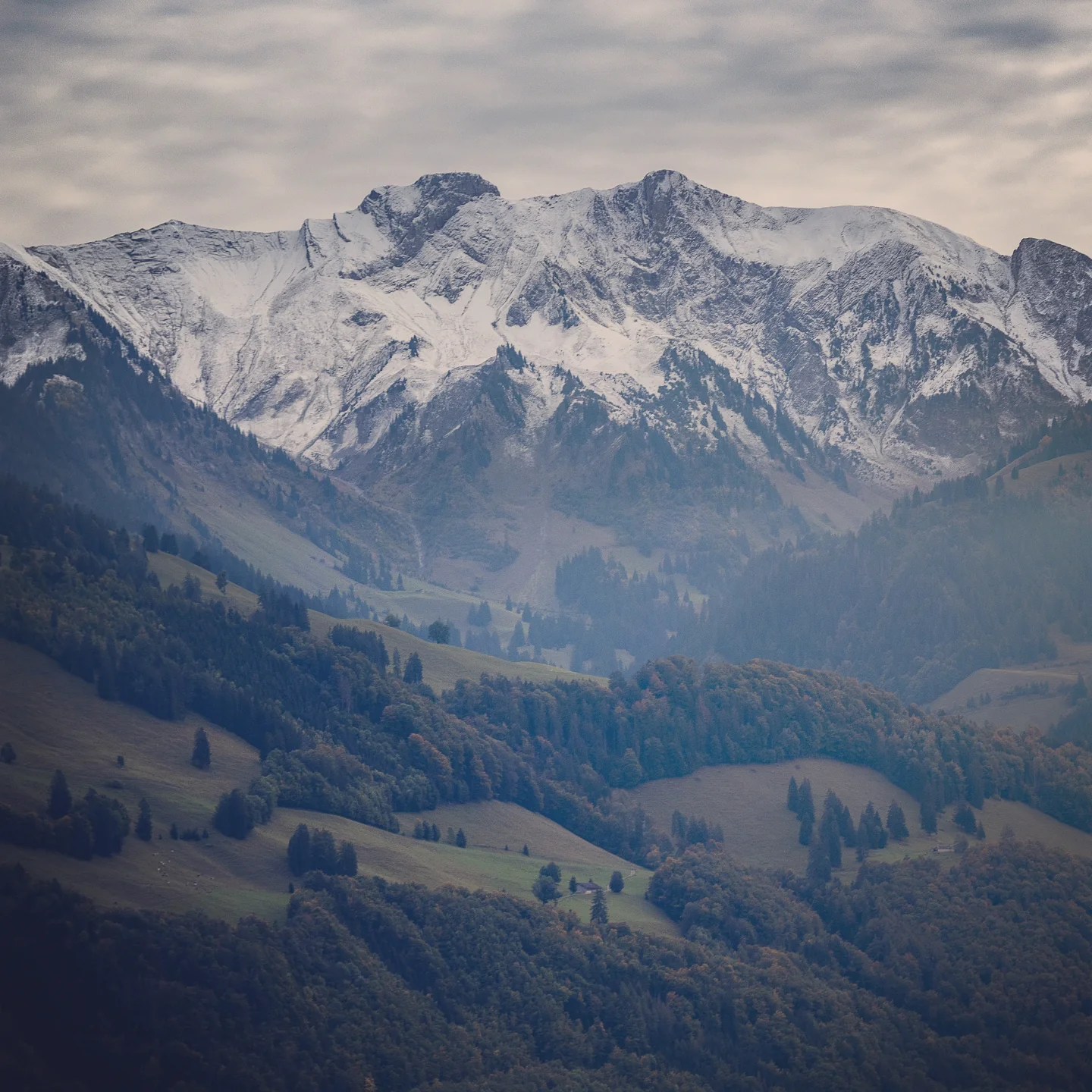 Snow-dusted Pre-Alps ridge rises above rolling green pastures near Gruyères, Switzerland, under a moody autumn sky.