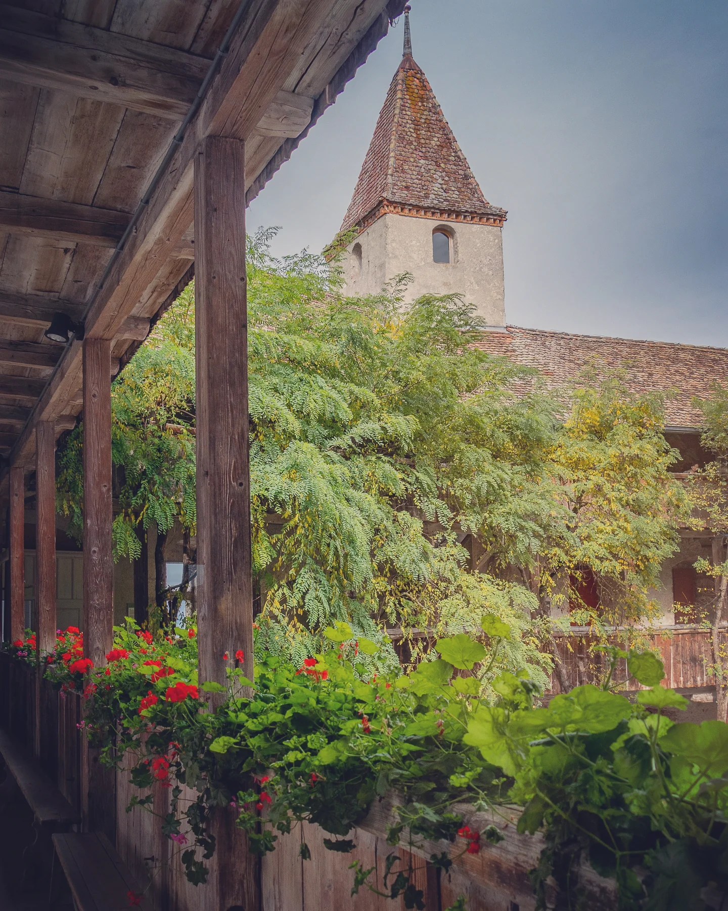 Covered wooden gallery lined with geranium boxes, framing trees and a turret beyond.