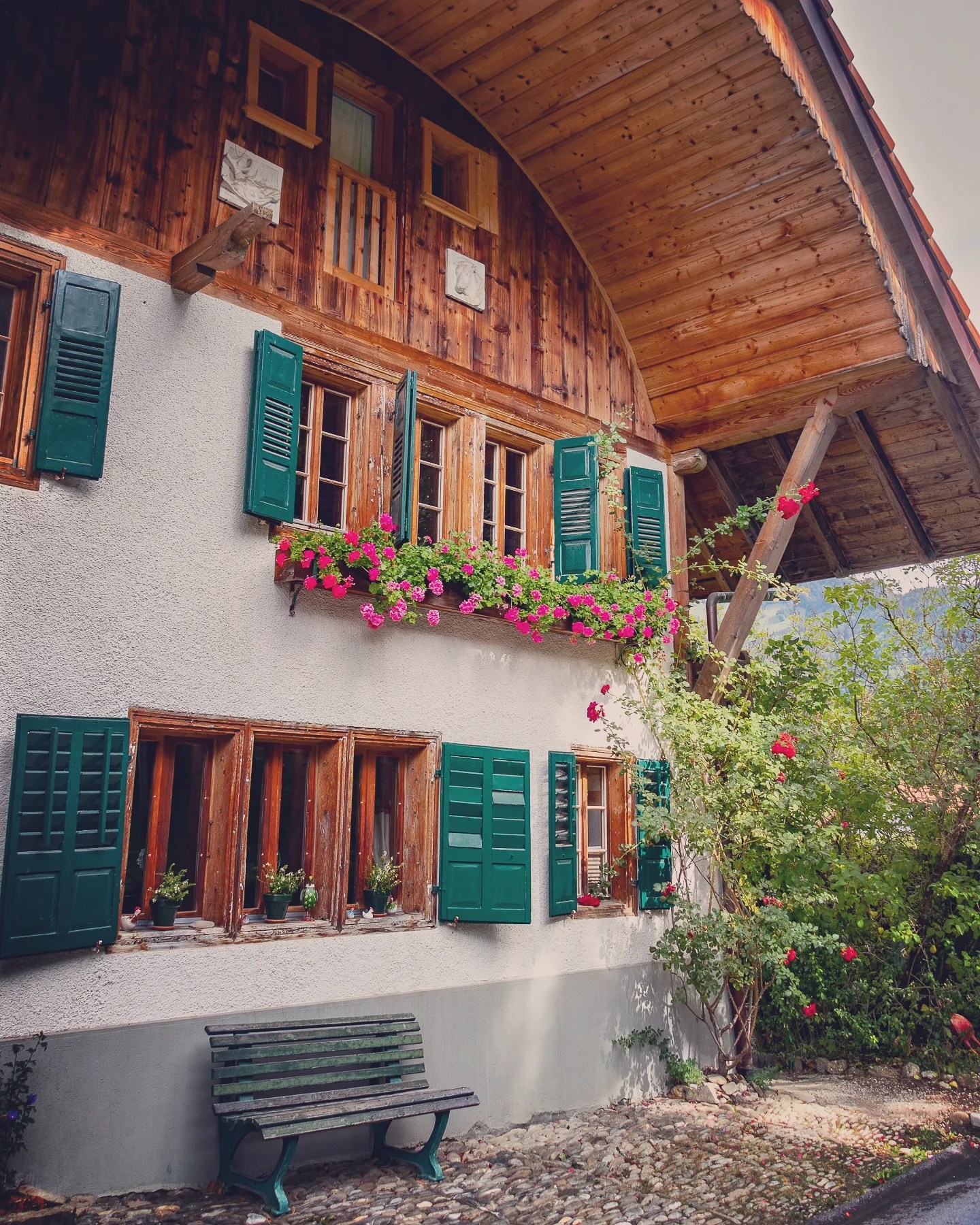 Traditional Swiss chalet with green shutters, flower boxes of geraniums and a wooden bench on a cobblestone path.
