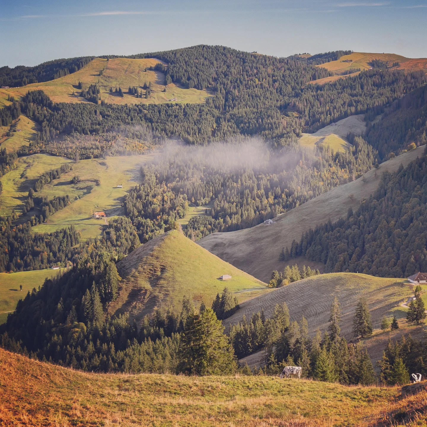 Patchwork of rolling, forested hills with a wisp of valley fog viewed from high above.