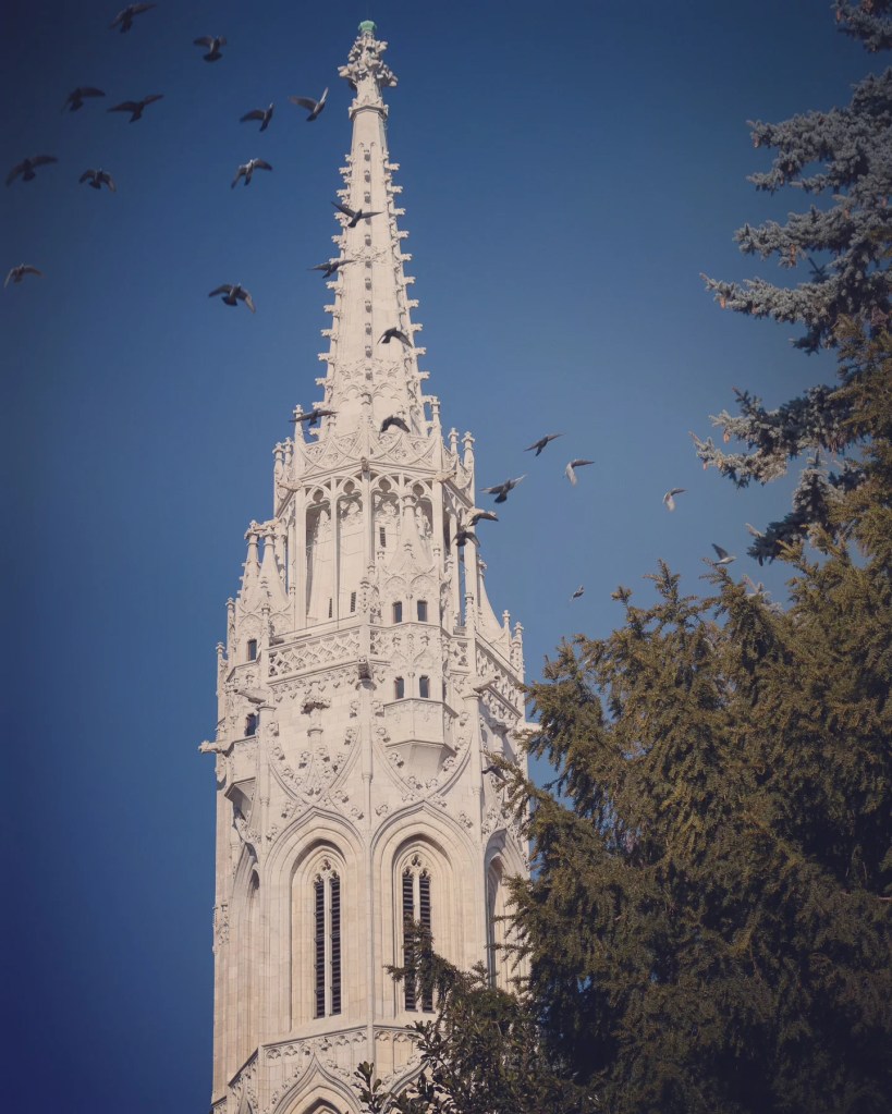 Spire of Matthias Church rising against a clear blue sky, with birds in flight and tree branches in the foreground.
