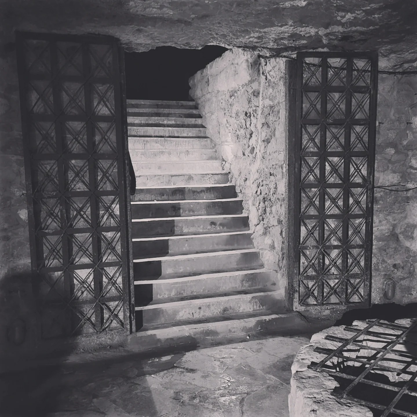 Staircase flanked by decorative wrought iron gates, leading up from a dim stone chamber.