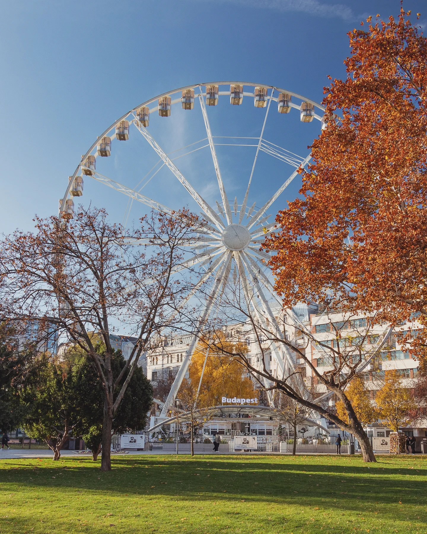 The Budapest Ferris Wheel surrounded by autumn trees and a green park under a clear blue sky.