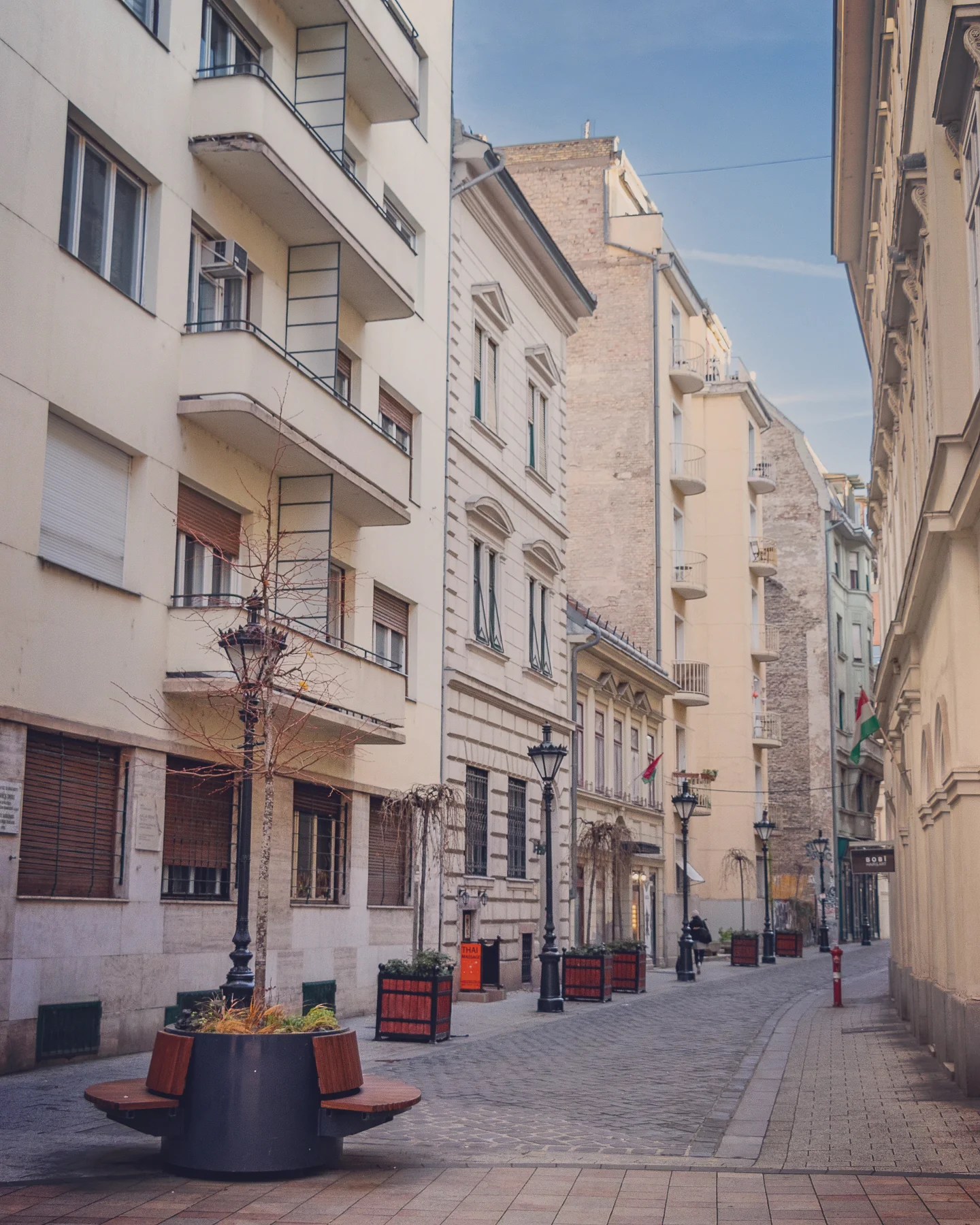 Empty cobblestone pedestrian street in Budapest lined with residential buildings and decorative planters.