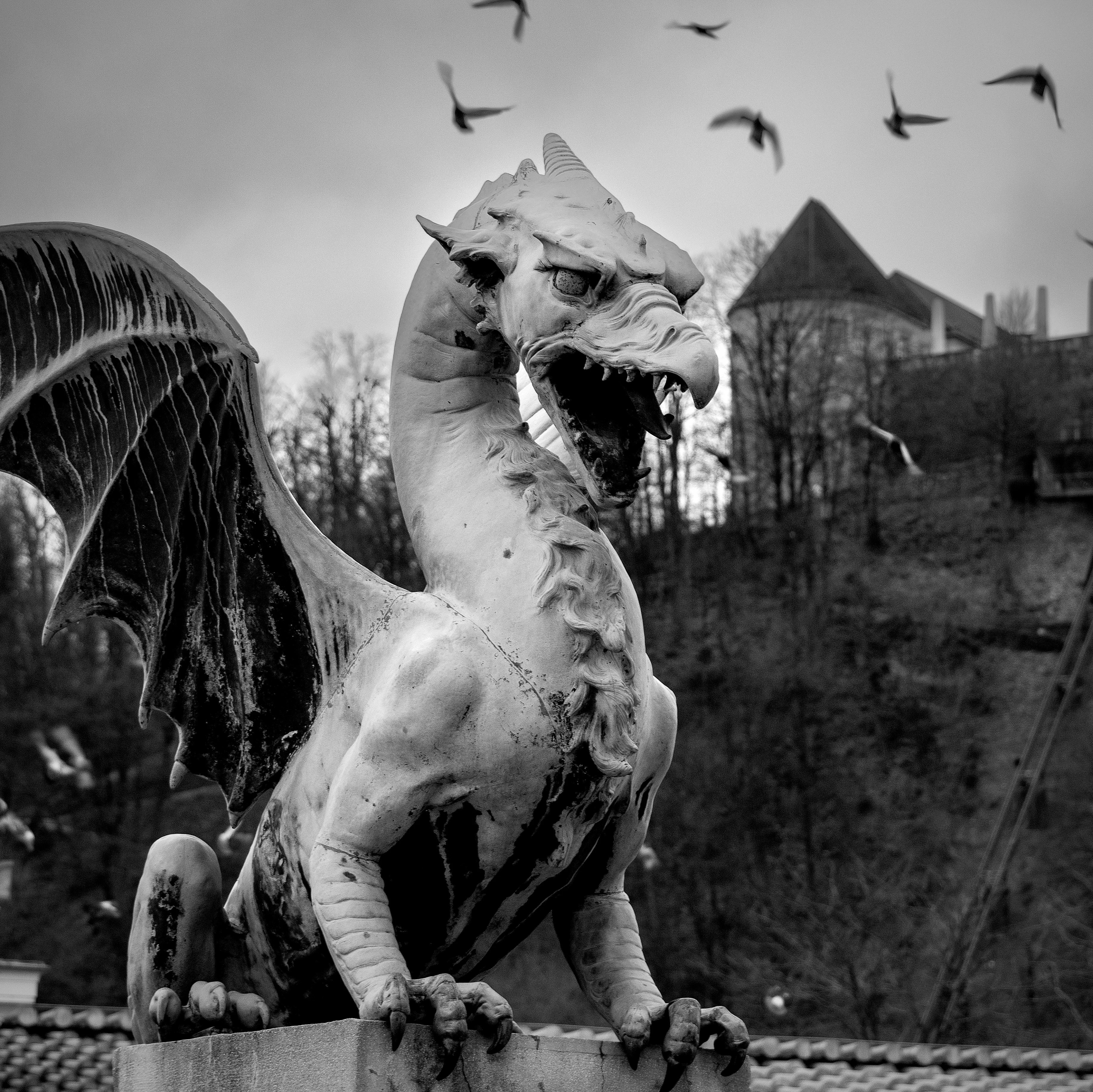 A dramatic black and white photo of Ljubljana’s iconic dragon statue with wings spread, perched on the Dragon Bridge, with birds flying overhead and the castle faintly visible in the background.