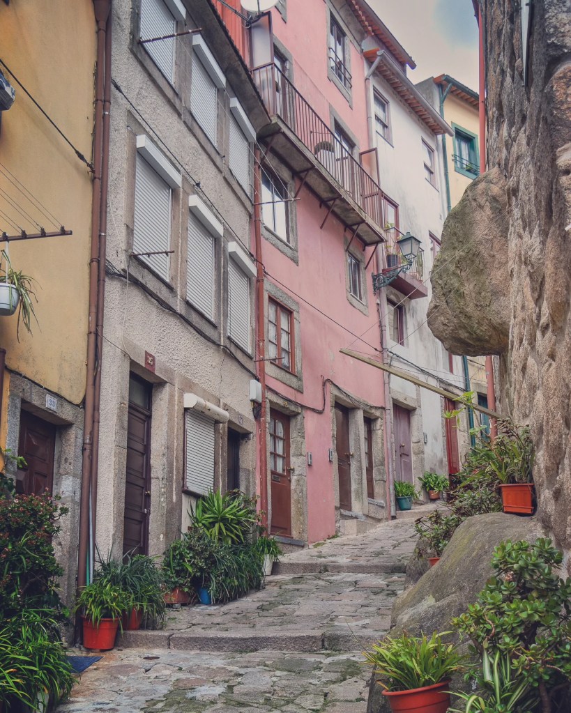 Narrow, winding cobbled alleyway in Porto lined with potted plants and colorful old buildings.