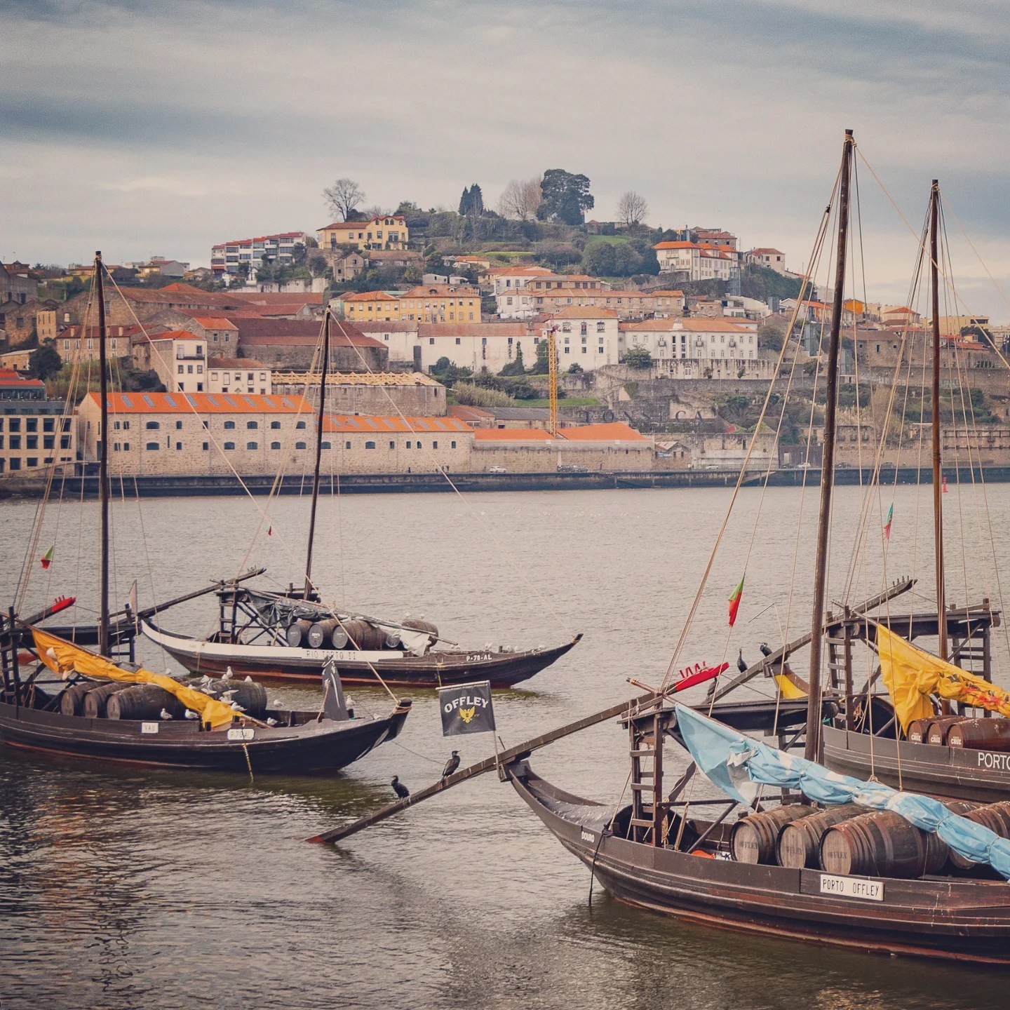Traditional Portuguese rabelo boats loaded with port wine barrels floating on the Douro River, with Gaia in the background.