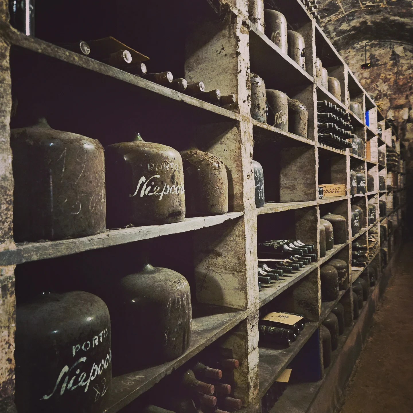 Rows of dusty old glass demijohns and bottles stored in stone shelves inside a dark wine cellar.