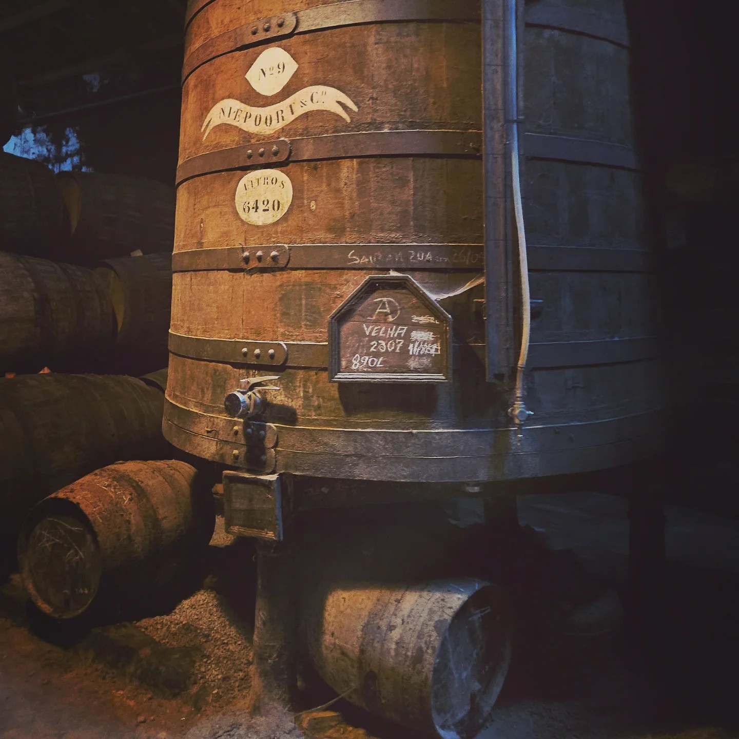 A large wooden port wine vat at Niepoort, labeled “Velha 2007” with a capacity of 890 liters.
