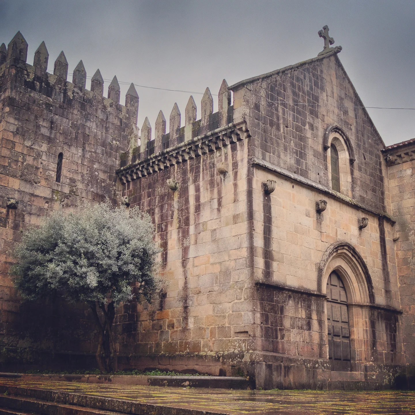 Braga Cathedral - stone-walled medieval church with battlements and a lone olive tree in Braga, Portugal.