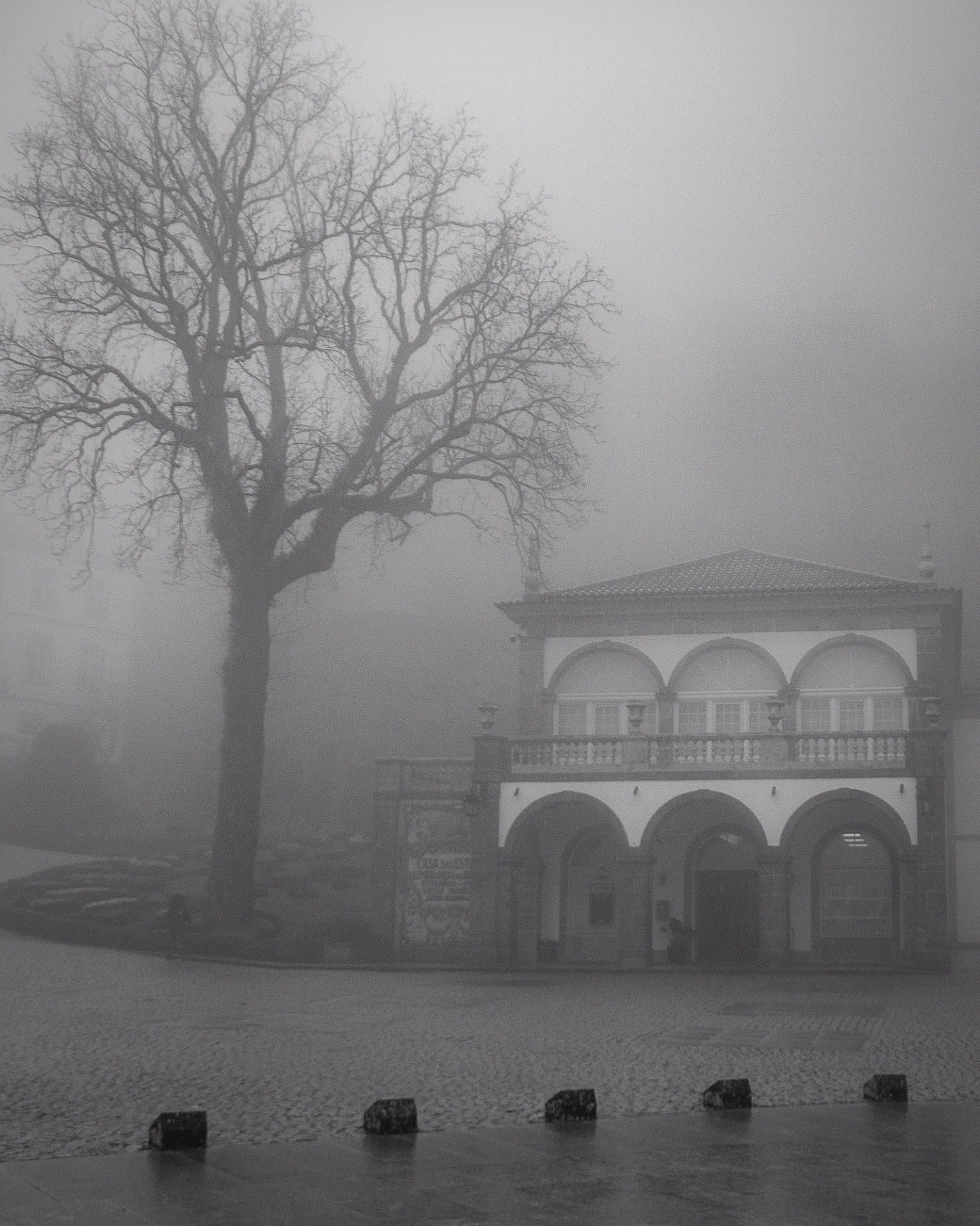 Large leafless tree and stone building shrouded in heavy mist at Bom Jesus do Monte, Braga, Portugal.