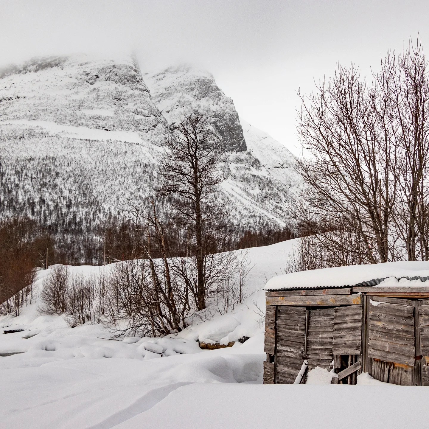 A rustic wooden shed stands quietly in a snowy valley beneath towering, cloud-capped mountains near Tromsø.