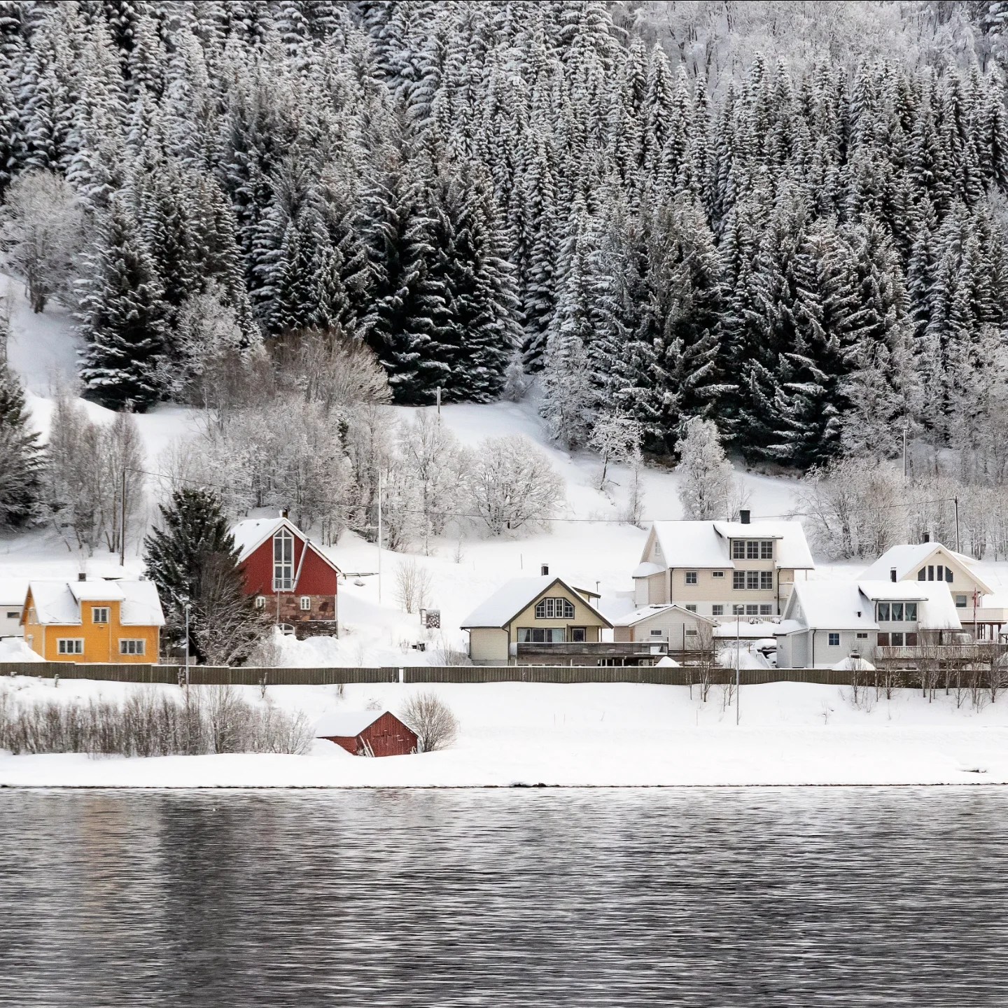 Colorful houses beneath snow-draped evergreens on the fjord’s edge.