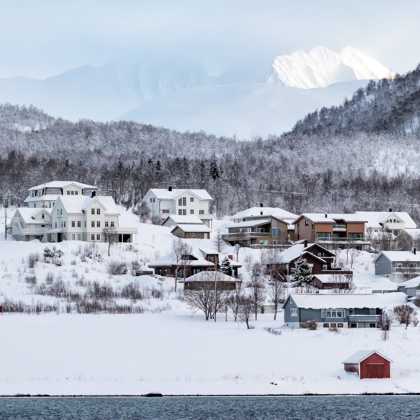 Charming village homes clustered on snowy hillside in northern Norway.