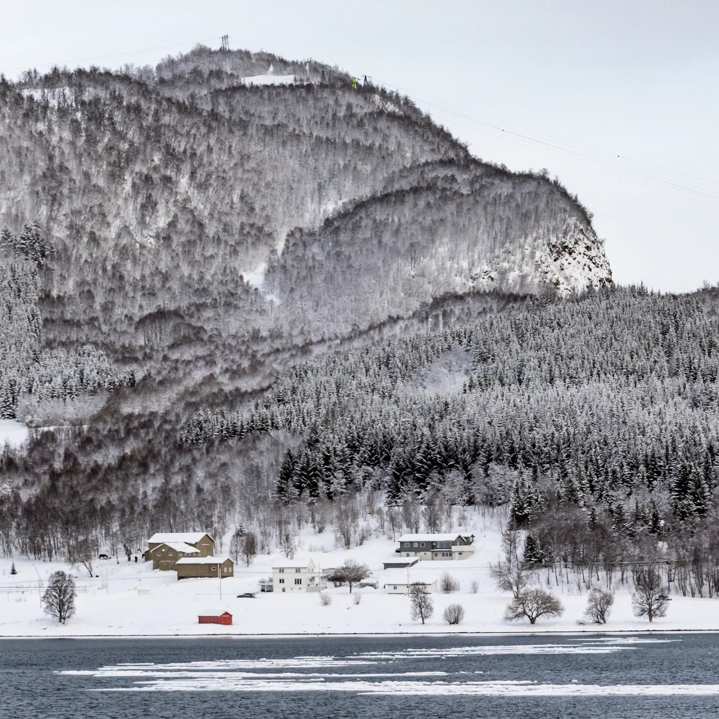 View of Fjellheisen cable car station perched on a steep forested mountainside.