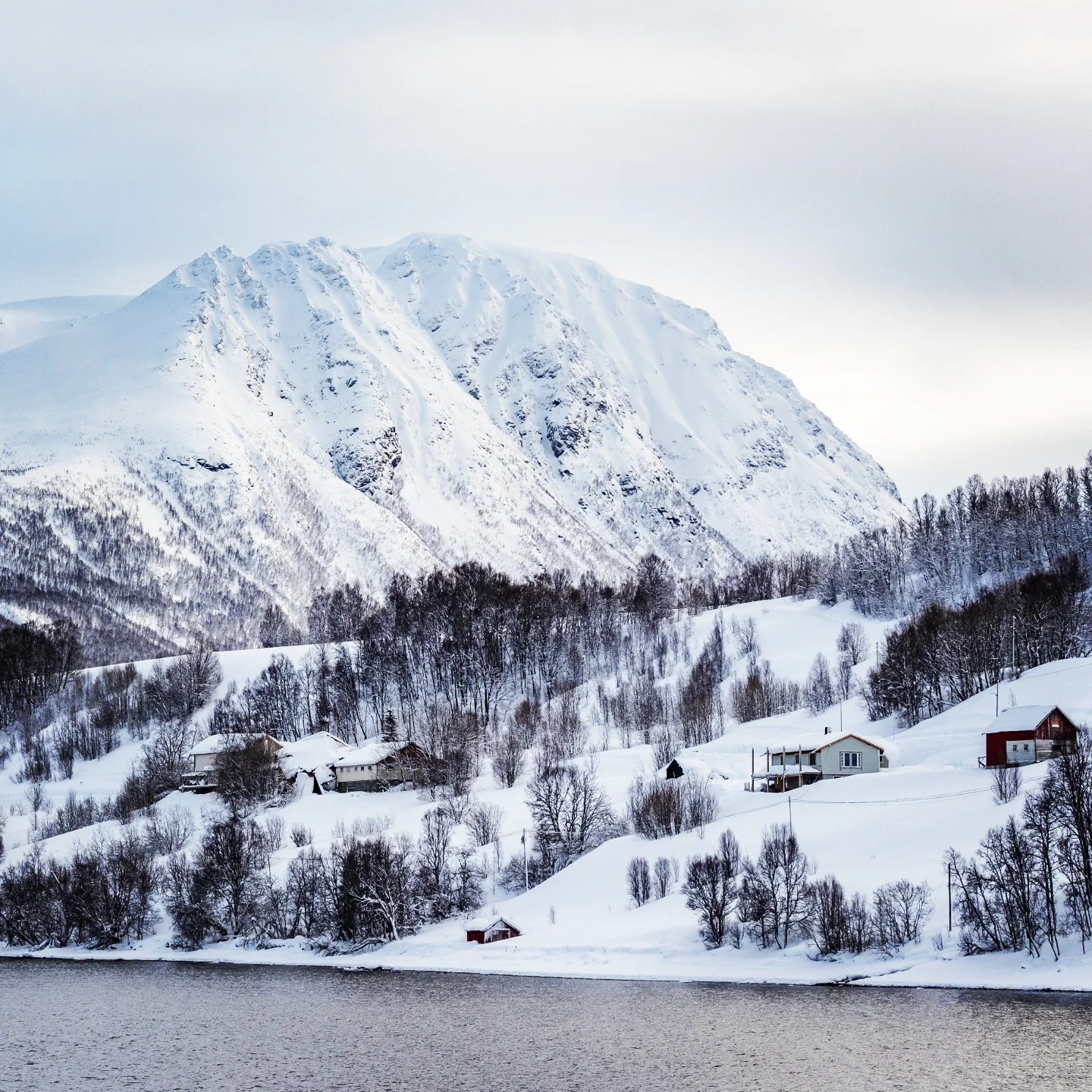 Snow-covered mountain rising behind a quiet Norwegian fjord village, with bare trees and scattered cabins nestled in white hills.