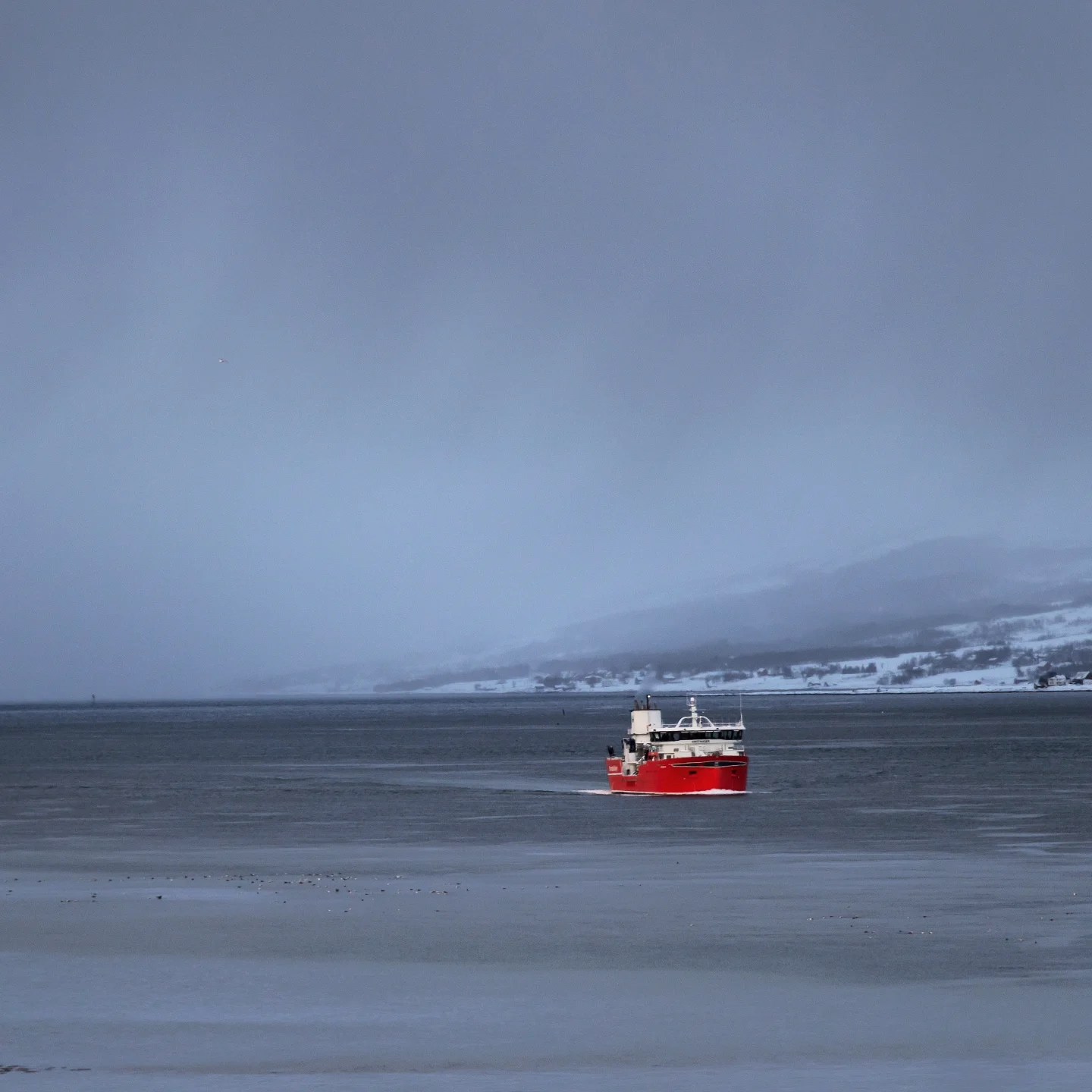 Bright red boat sailing through a calm, icy fjord under moody gray skies, with distant snow-covered shoreline visible.