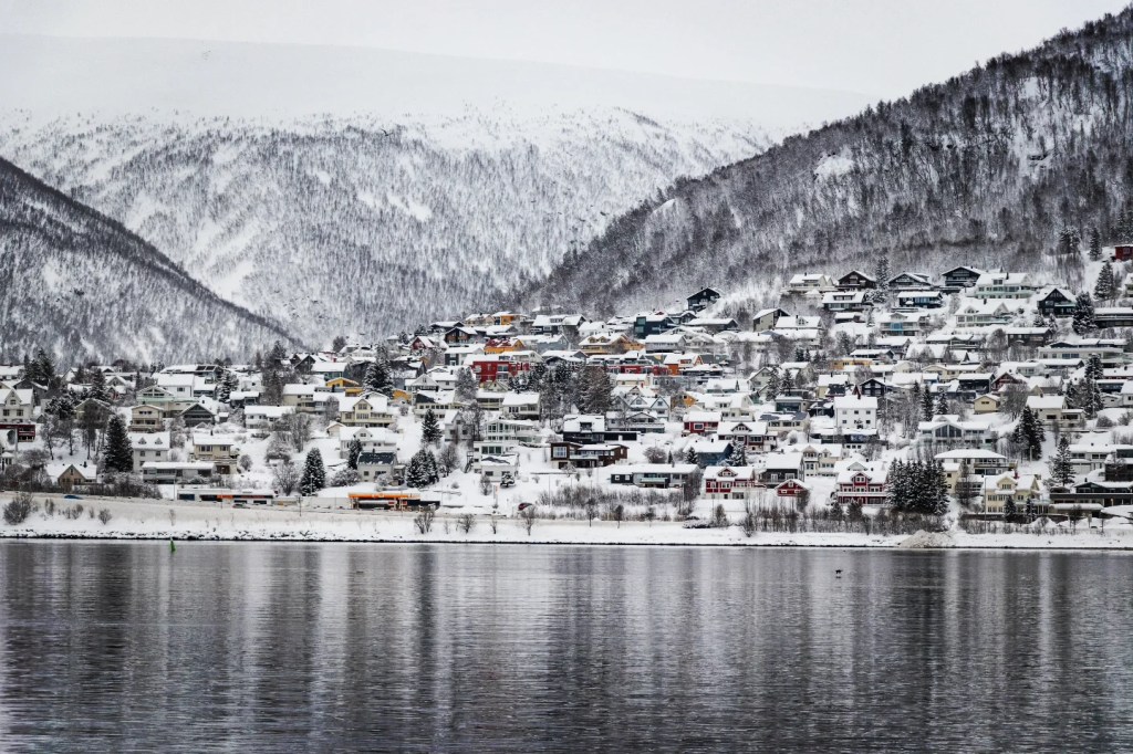 A hillside packed with colorful Norwegian houses blanketed in fresh snow, nestled beneath snowy forested slopes and reflected gently across the fjord.