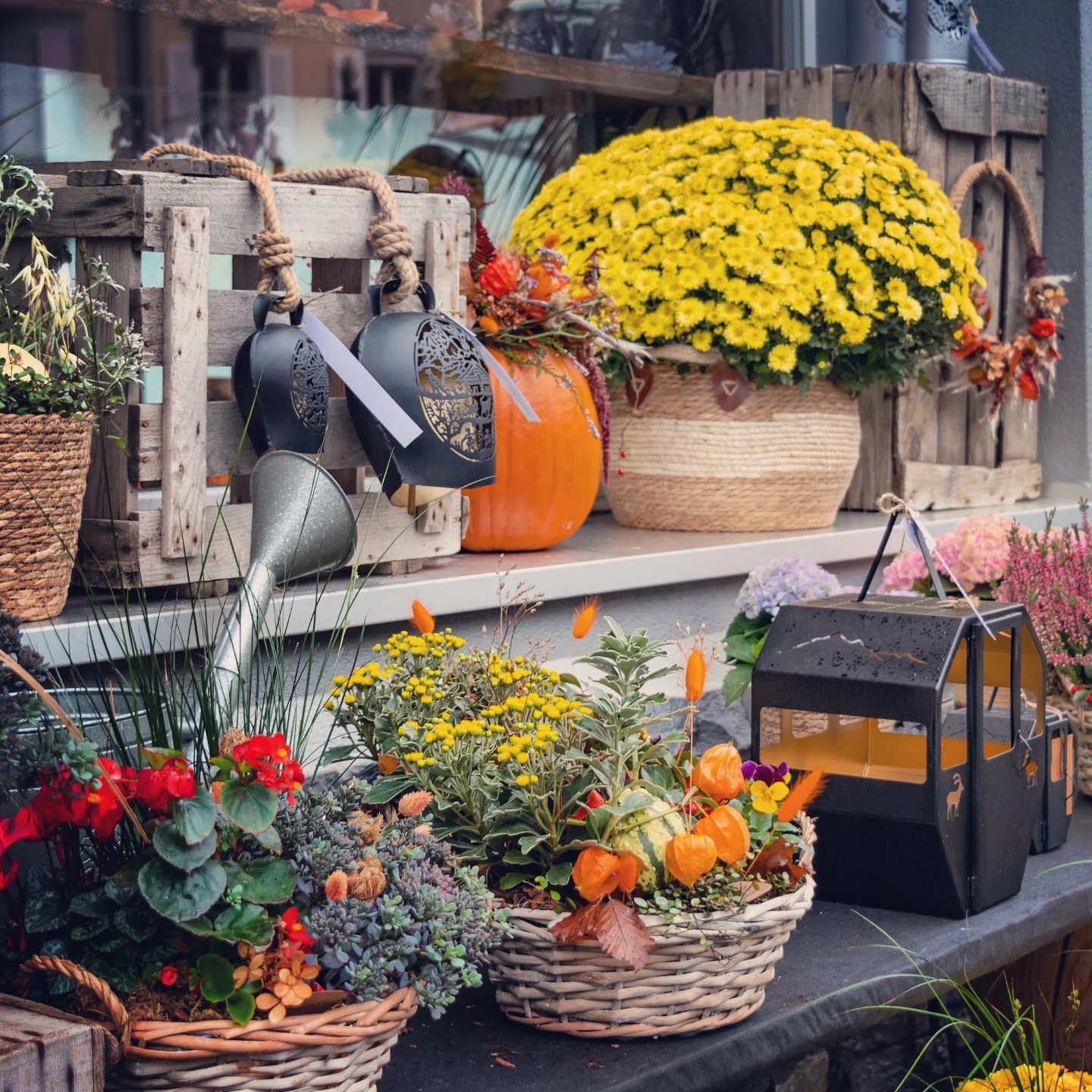 Autumn storefront display of potted flowers, miniature pumpkins, lanterns and two decorative black cowbells hanging from a crate.