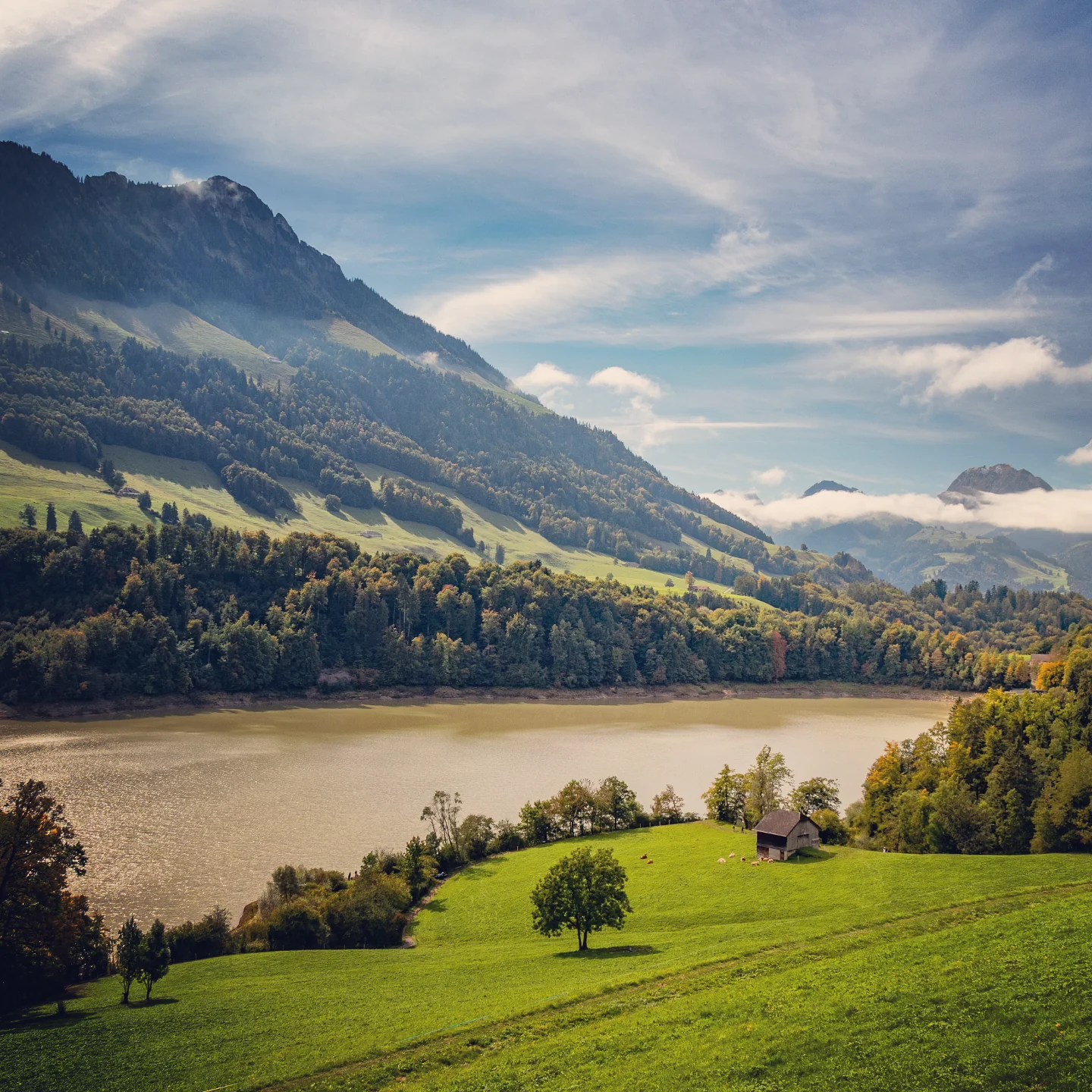 Wide view of Lac de Montsalvens (reservoir) with green meadows, scattered trees and forested mountains under a bright sky.