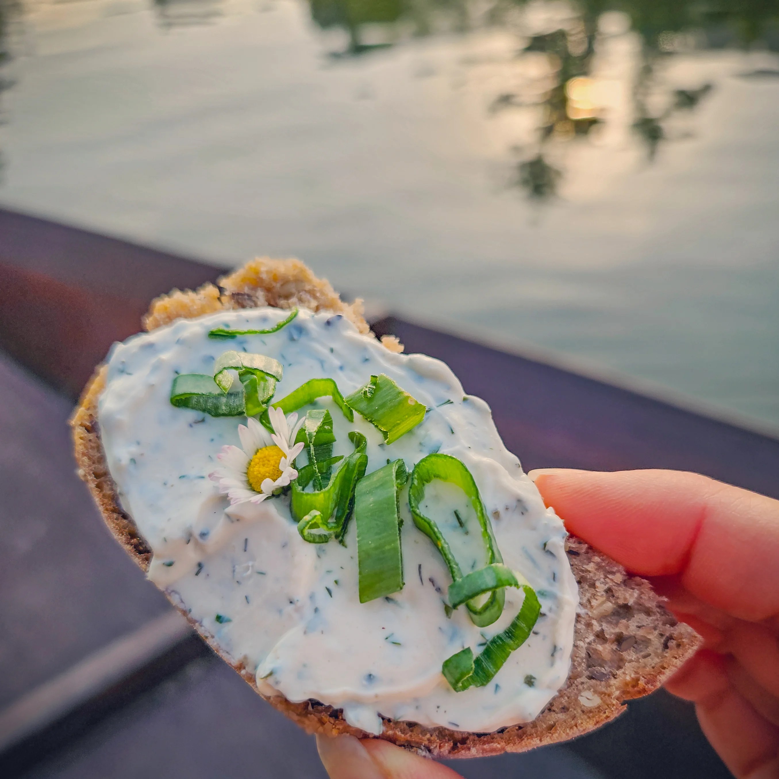 A slice of rustic bread topped with herb cream cheese, fresh chives, and a daisy, held over the Neckar River during sunset at the Horber Ritterspiele.