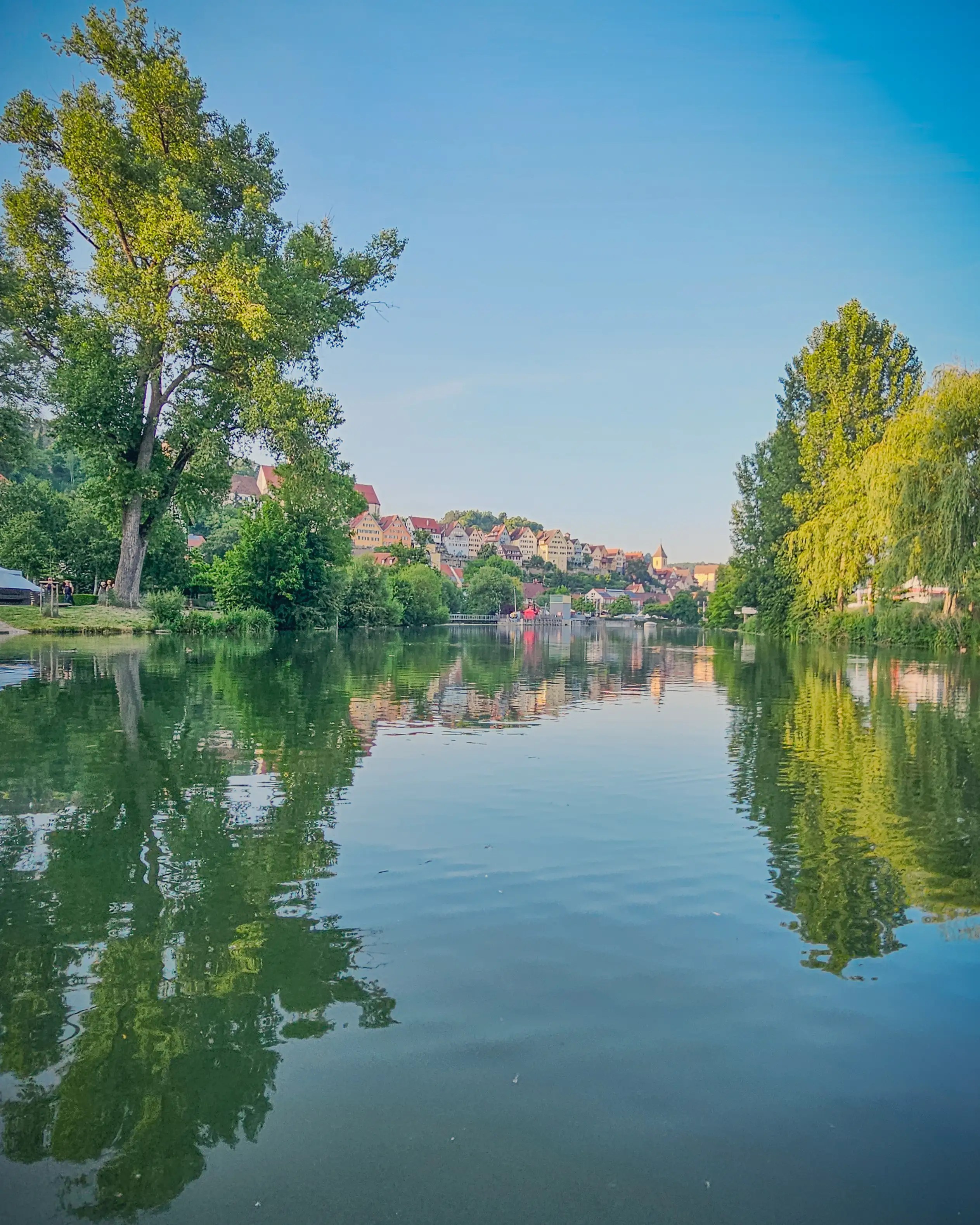 Distant view of Horb am Neckar’s old town and church framed by trees, with calm river waters reflecting the skyline.
