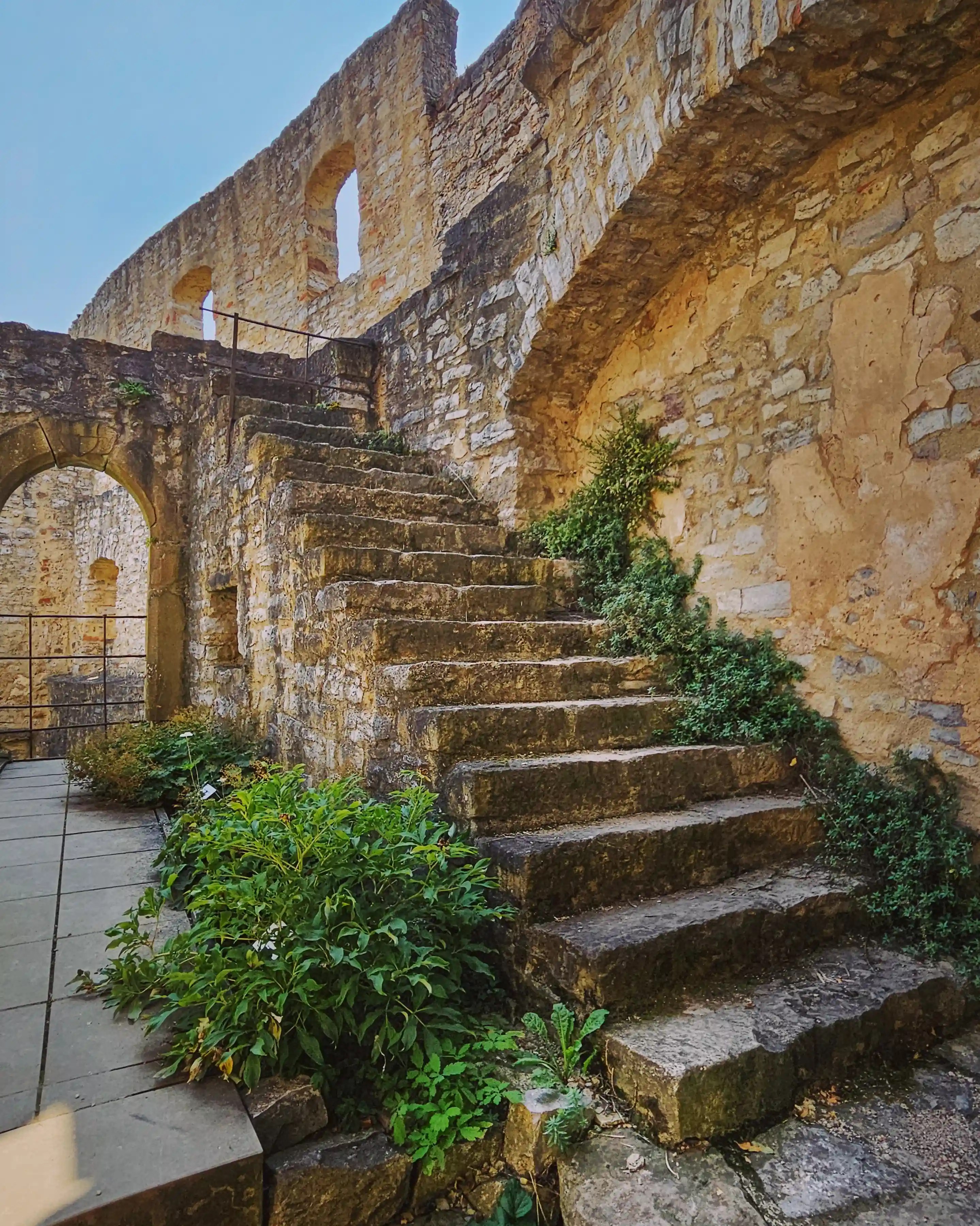 Stone stairway climbing a ruined castle wall with vines, Burg Hornberg, Neckar Valley.