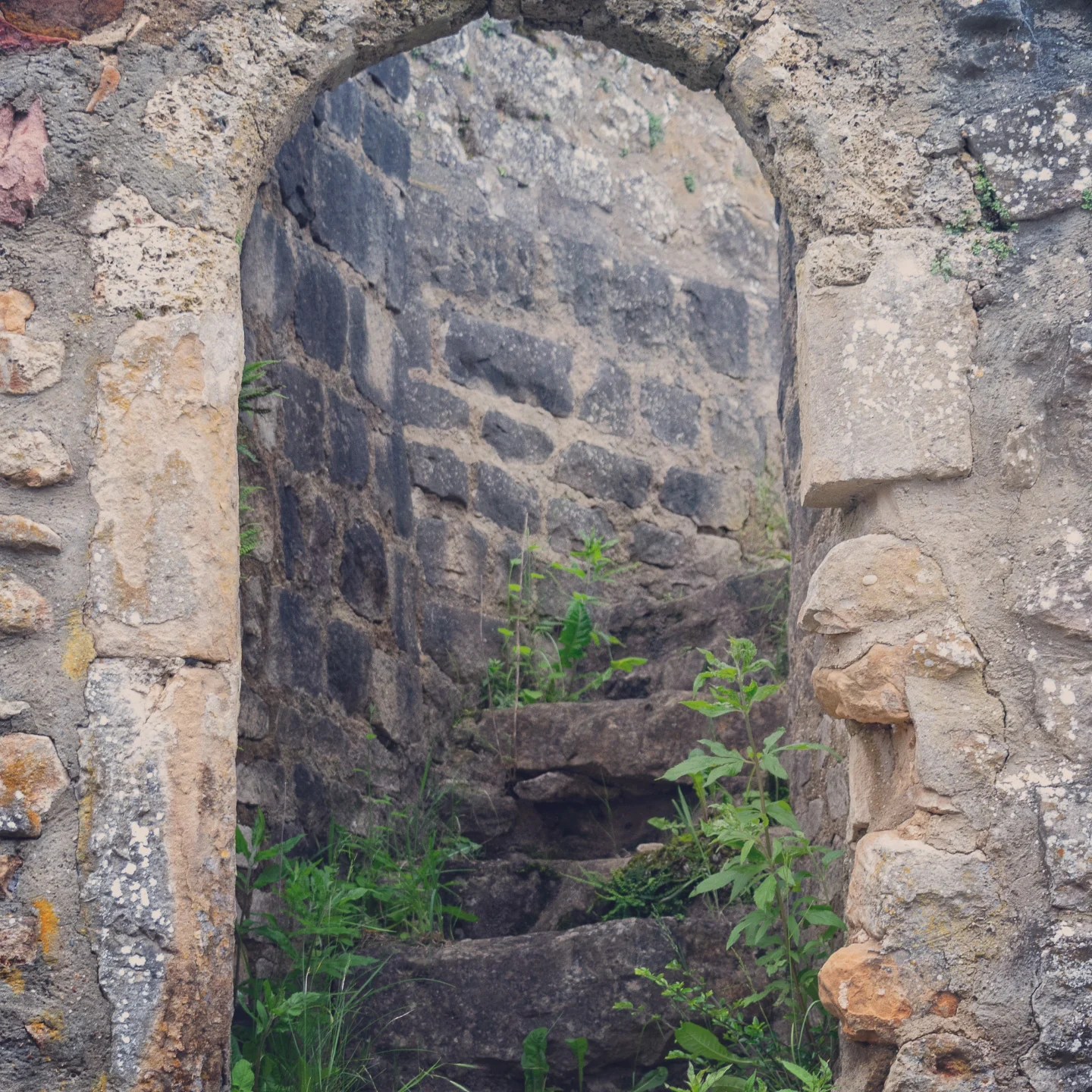 Stone doorway leading to a narrow spiral stairway overgrown with greenery.