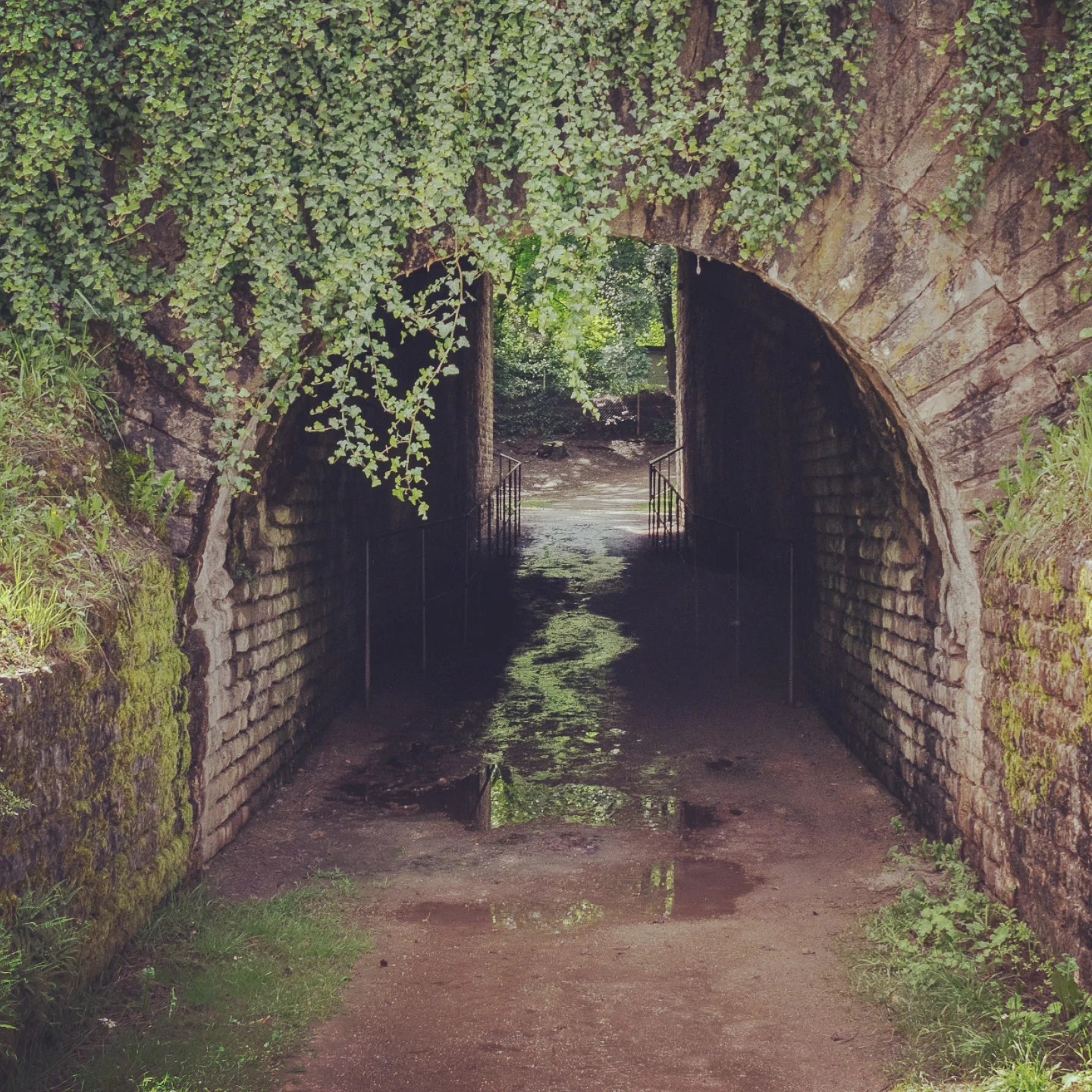 Stone archway in Trier covered in ivy with puddles on ground.