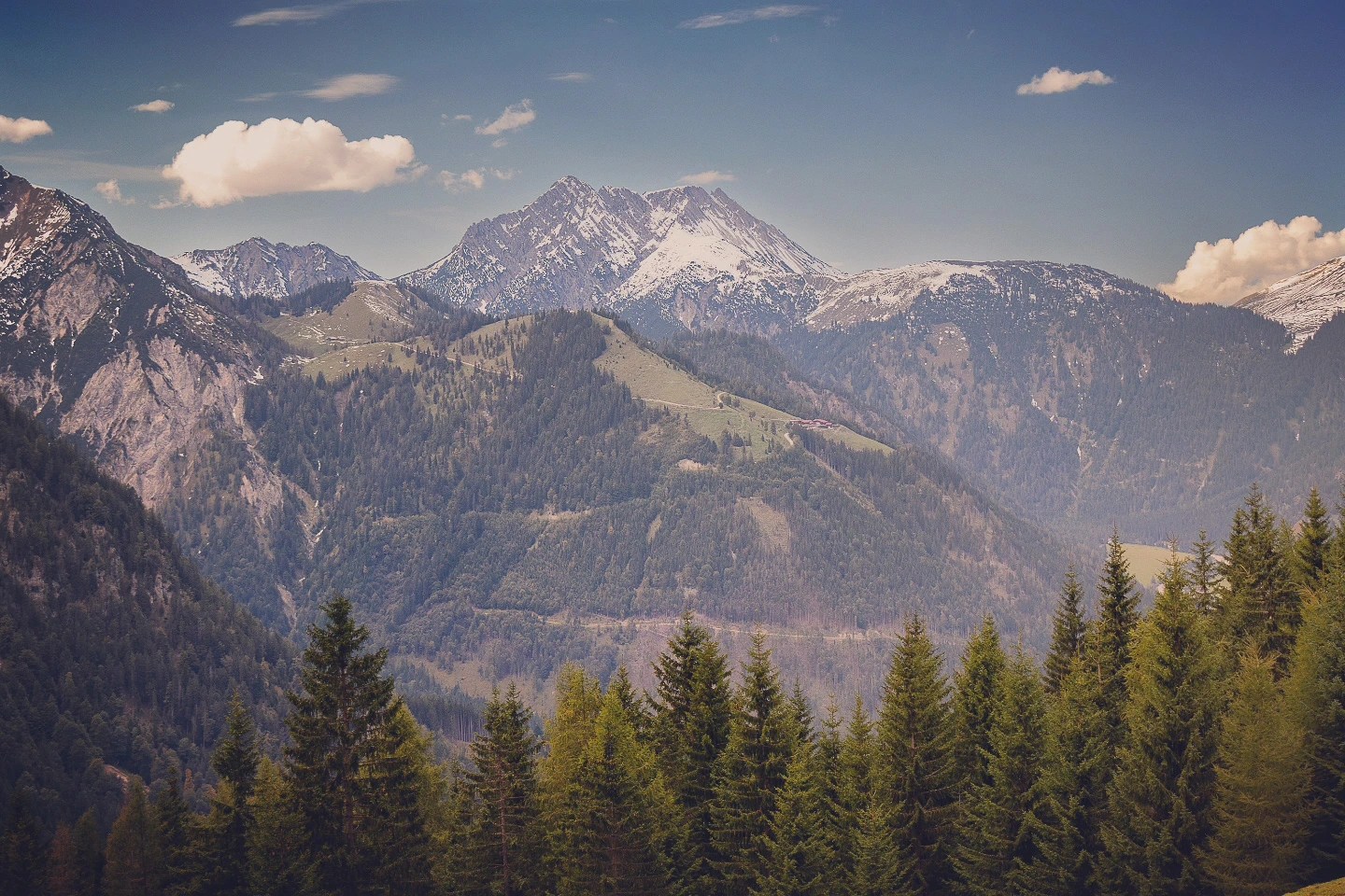 Panorama of the Tyrolean Alps above Achensee—forested ridges and snow-dusted summits.