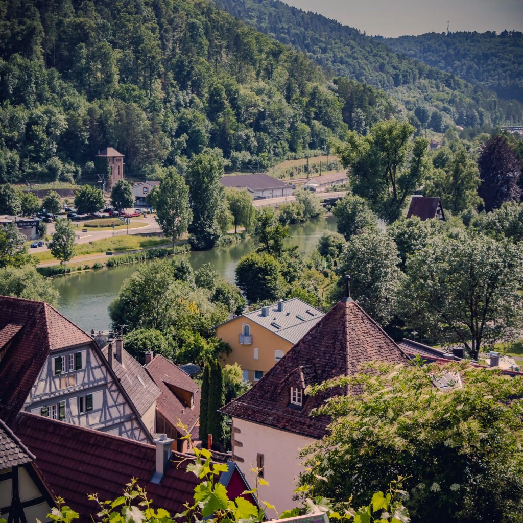 Elevated view over Horb am Neckar showing rooftops, the Neckar River, and the lush surrounding hills.