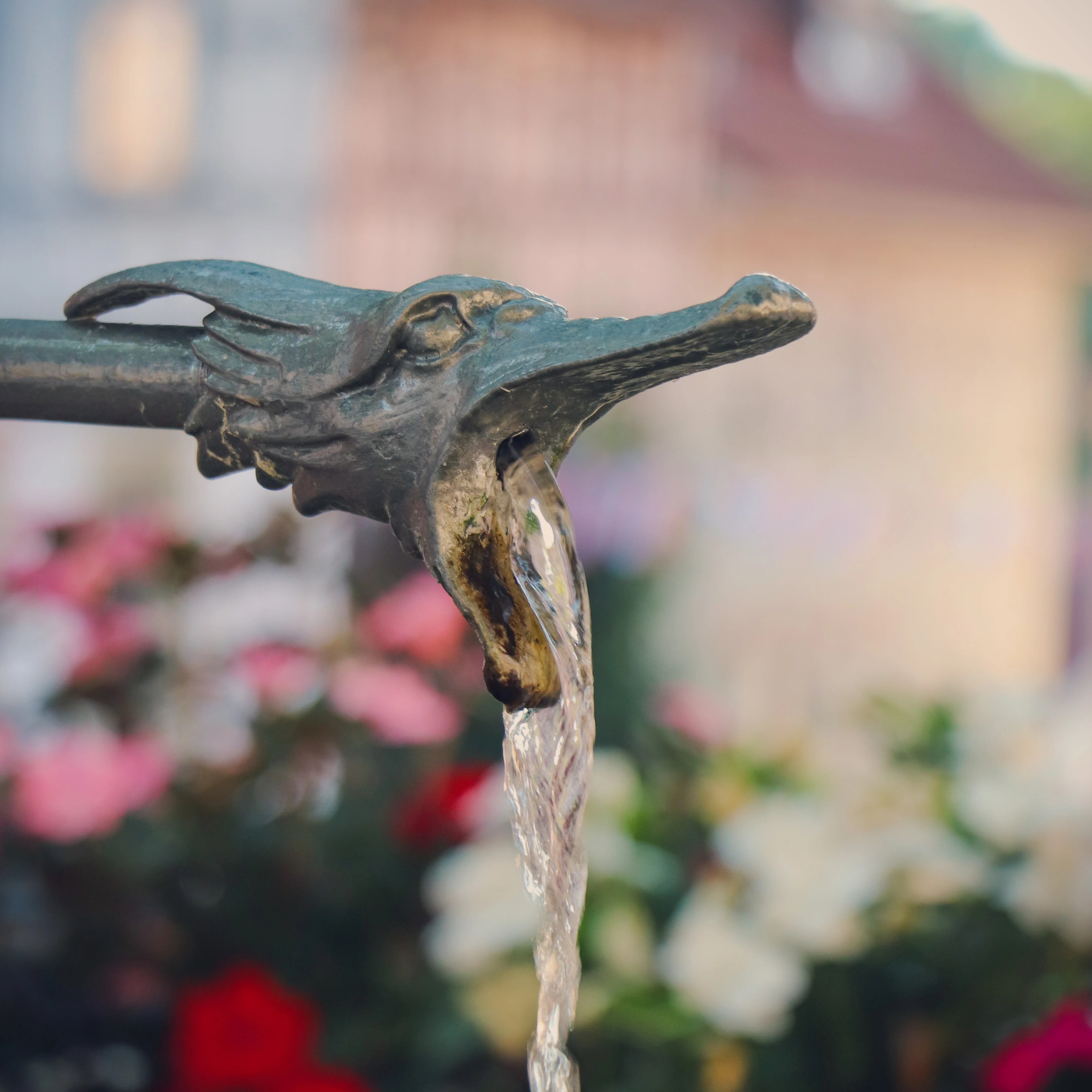 Bronze dragon-head fountain spout pouring water, Bad Wimpfen market square.