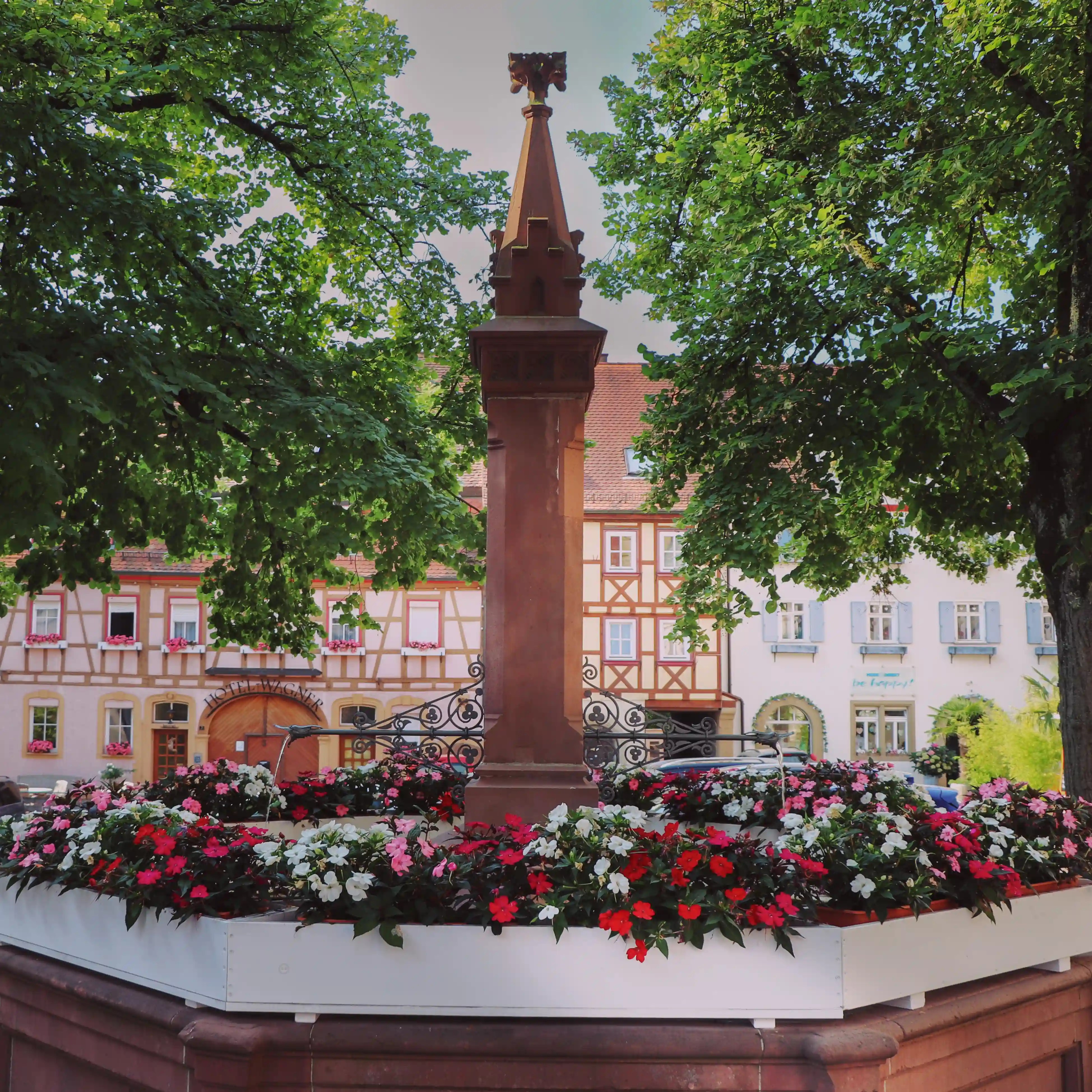 Market fountain under shade trees with half-timbered houses beyond, Bad Wimpfen, Germany.