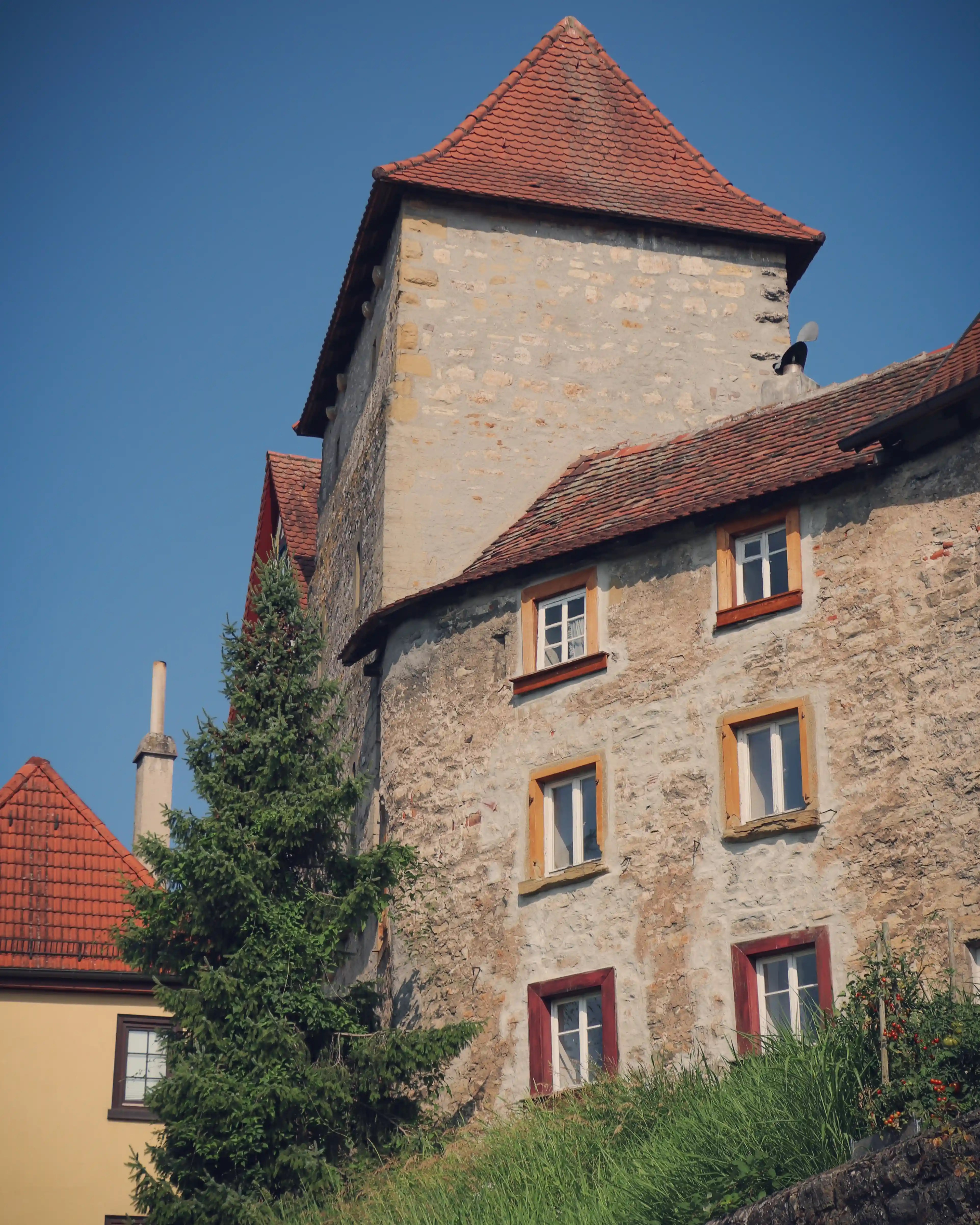 Tower-like stone building with steep red-tile roof and small windows beside a spruce tree in Bad Wimpfen, under a clear blue sky.