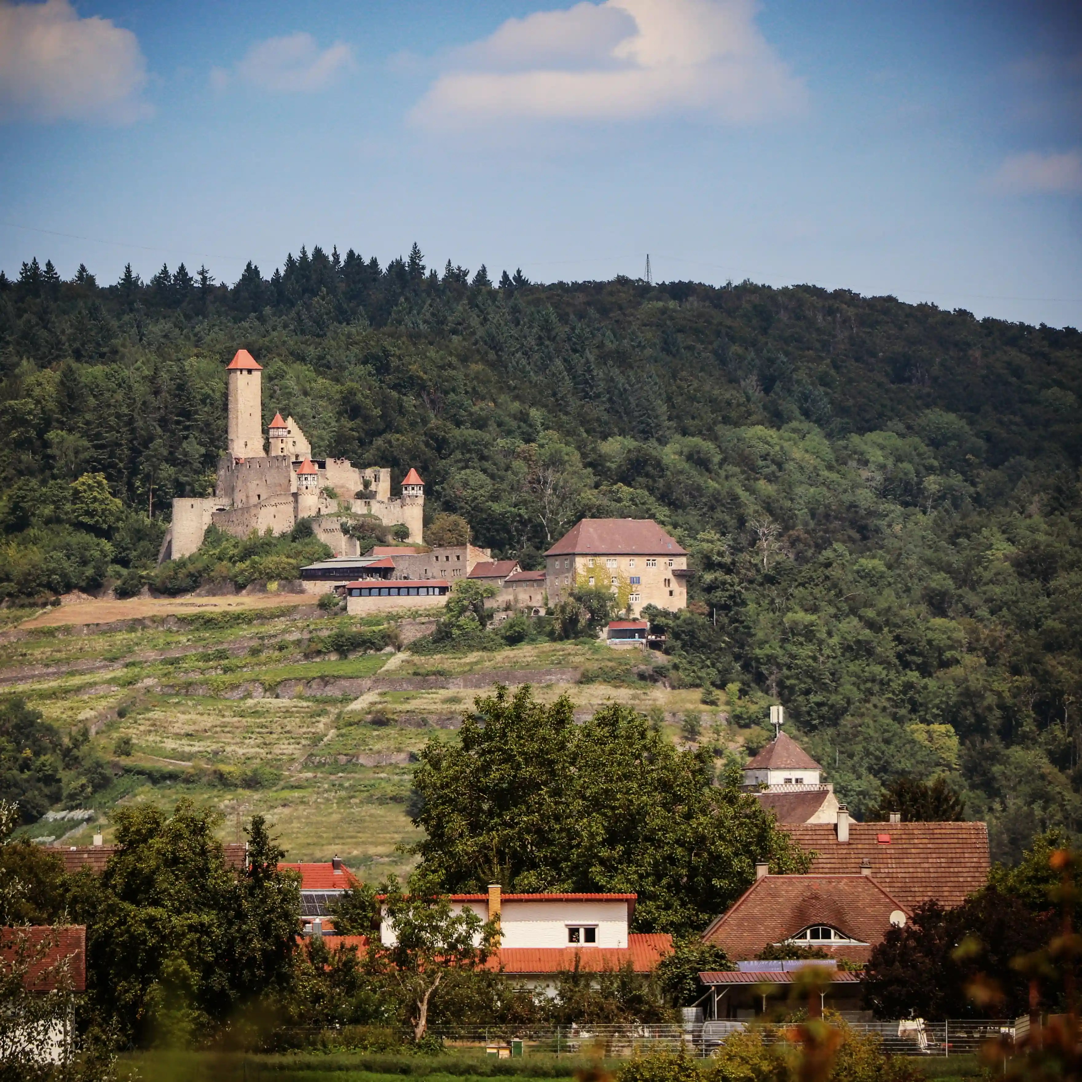 Distant view of Burg Hornberg perched above terraced vineyards on a forested hillside.