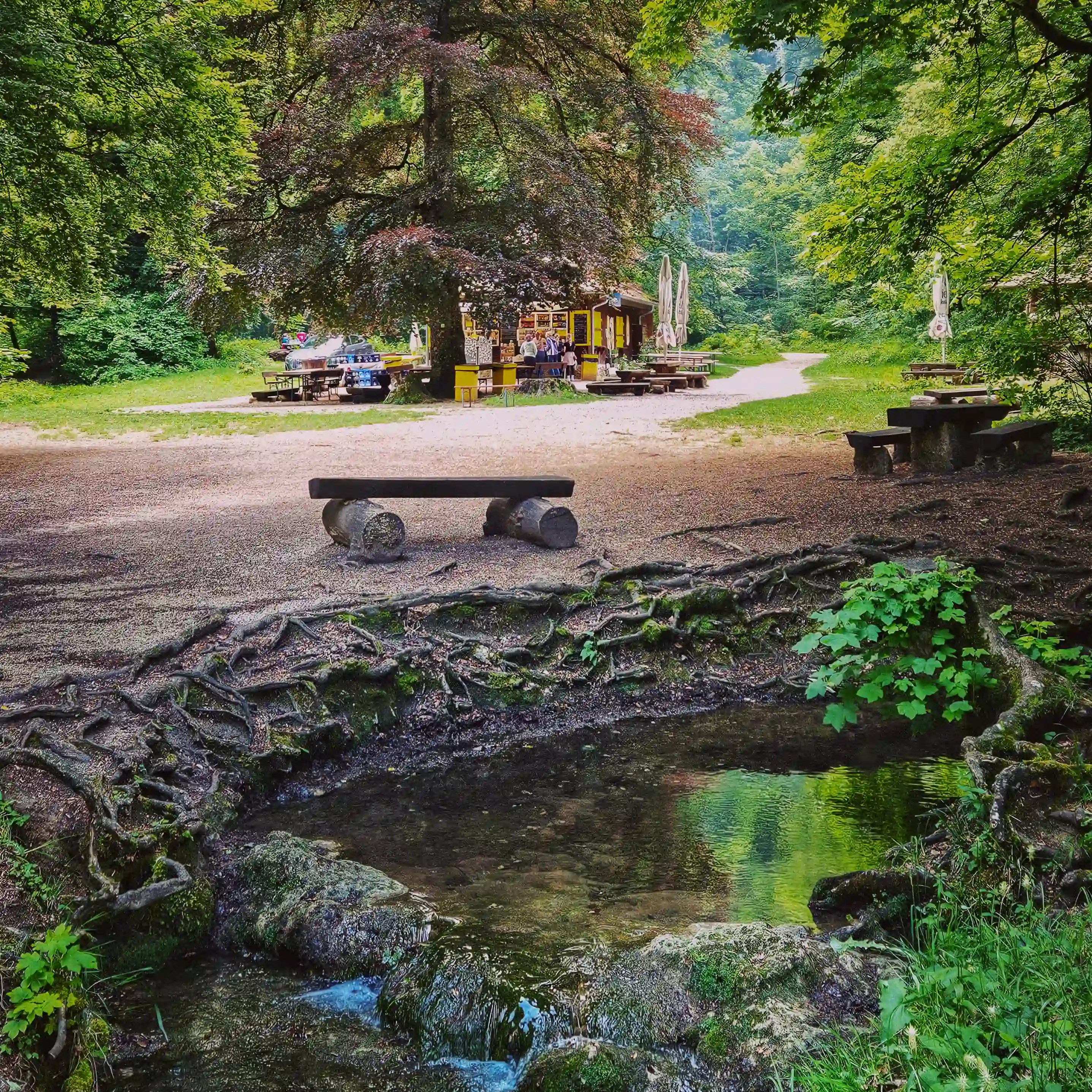 Outdoor picnic area with benches, trees, and the Wasserfallhütte refreshment hut near Bad Urach Waterfall.