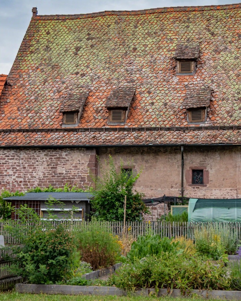 Romanesque Church of St. Aurelius in Hirsau, Germany, with a steeply pitched roof of weathered red tiles and a small garden in front.