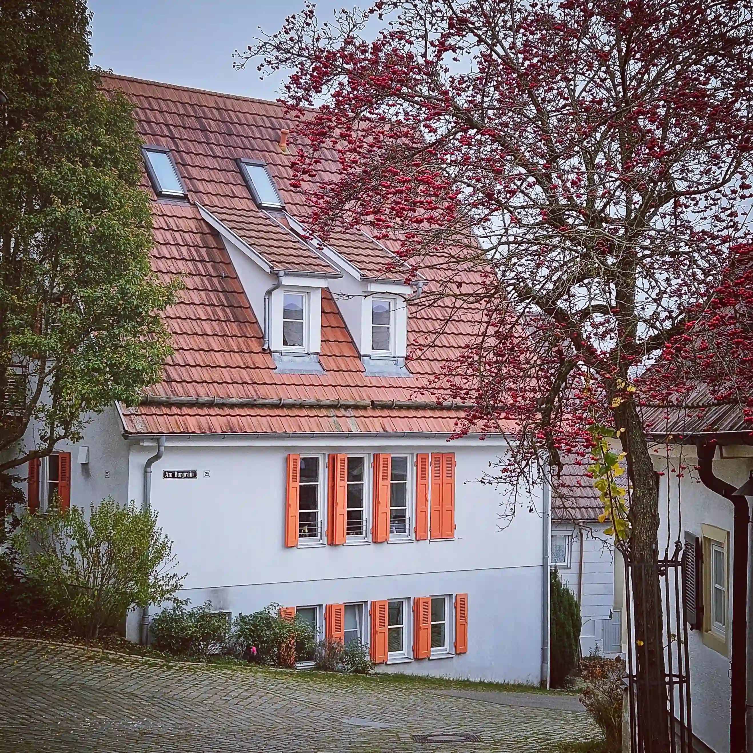 White house with orange shutters and red-berried tree on Am Burgrain street in Herrenberg, Germany.