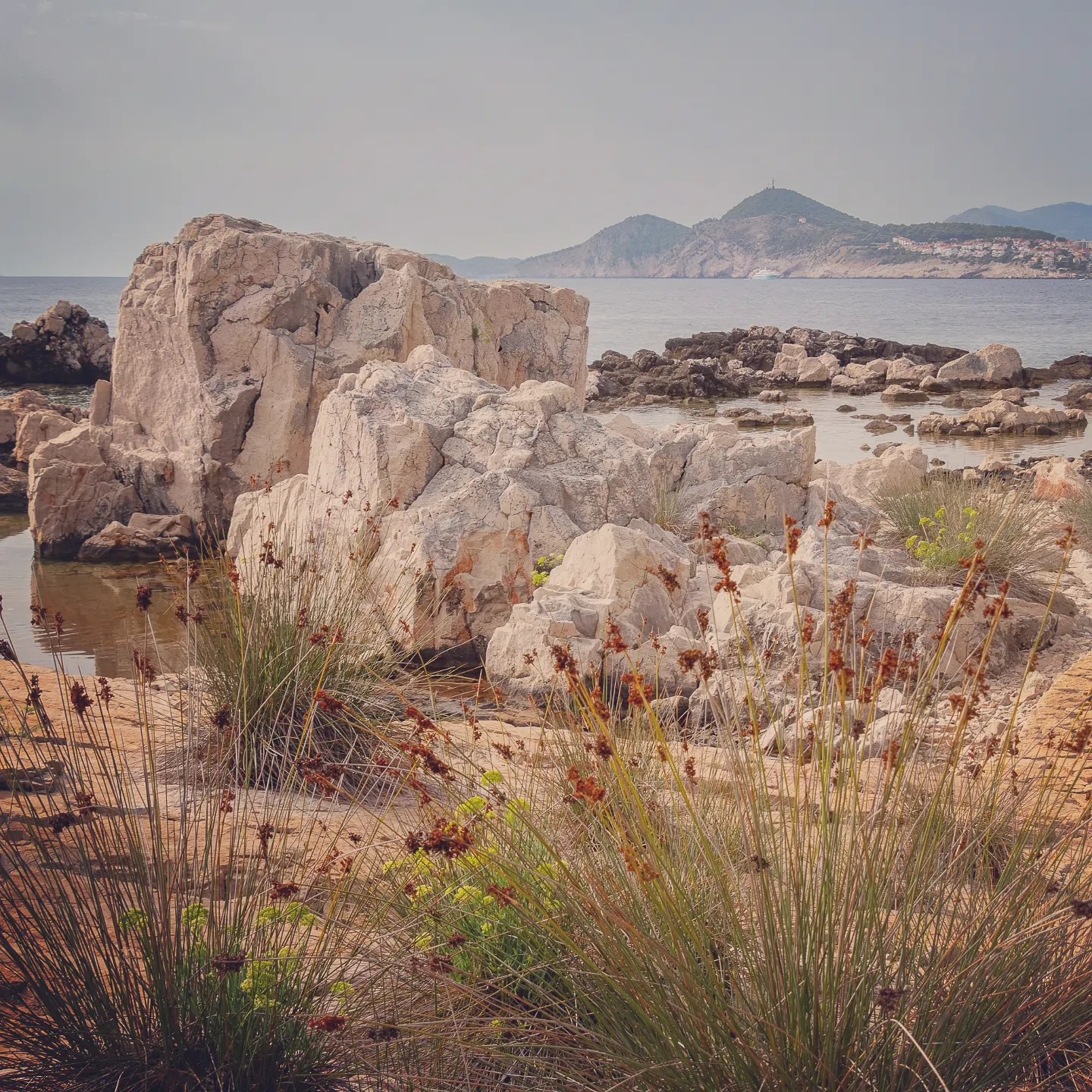 Rocky coastline on Lokrum Island with sea plants in the foreground and hills across the water.