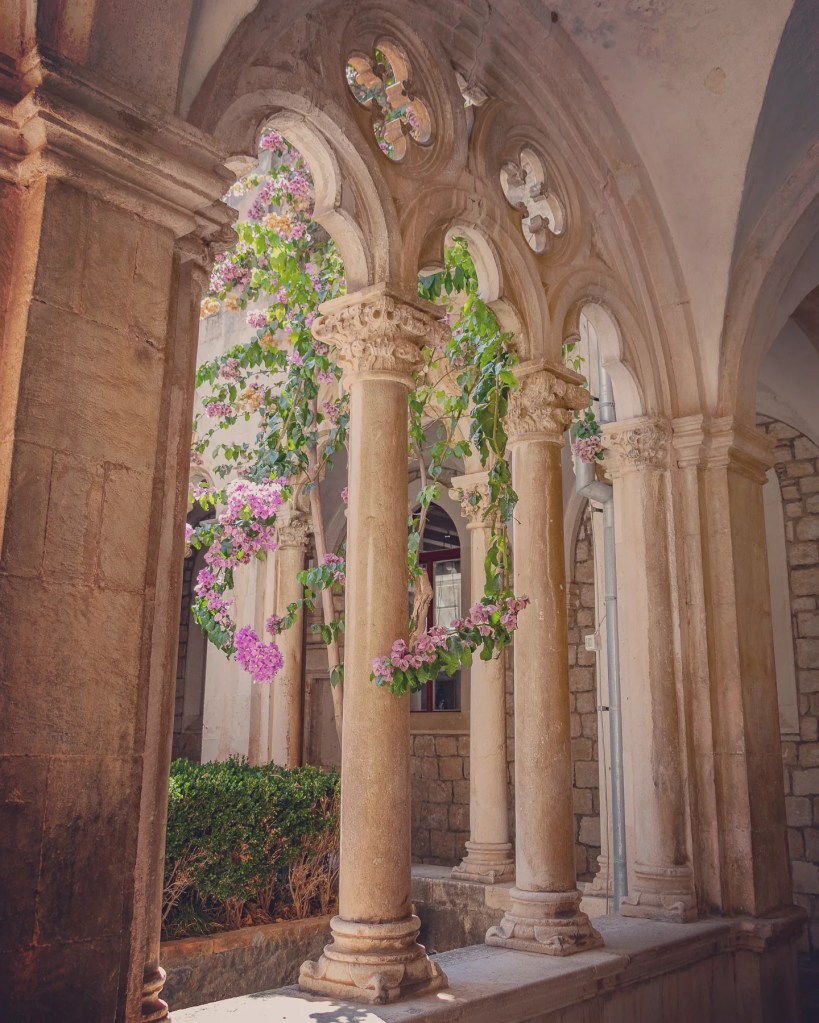 Bougainvillea vines growing through arched stone columns in the Dominican Monastery cloister.