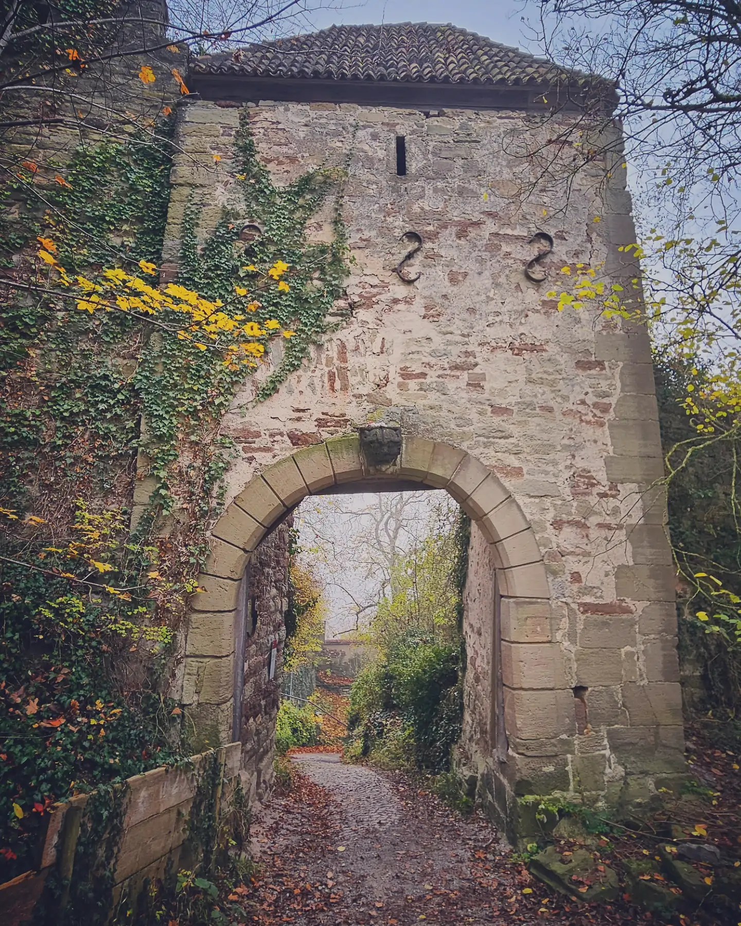 Stone gate tower covered in ivy and framed by autumn leaves on Herrenberg’s old city wall.