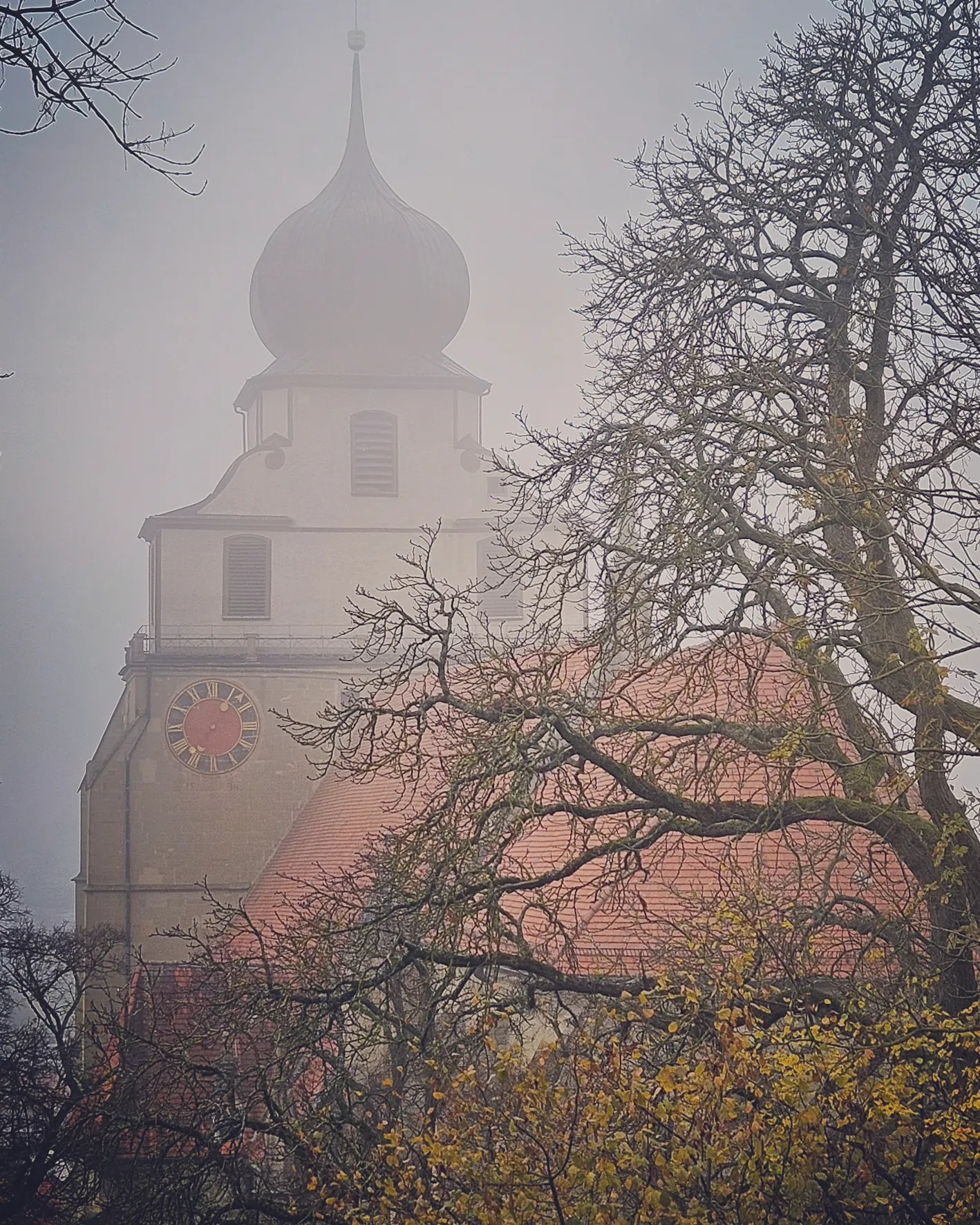 Fog-shrouded view of the Stiftskirche Herrenberg with bare trees and red roof tiles.
