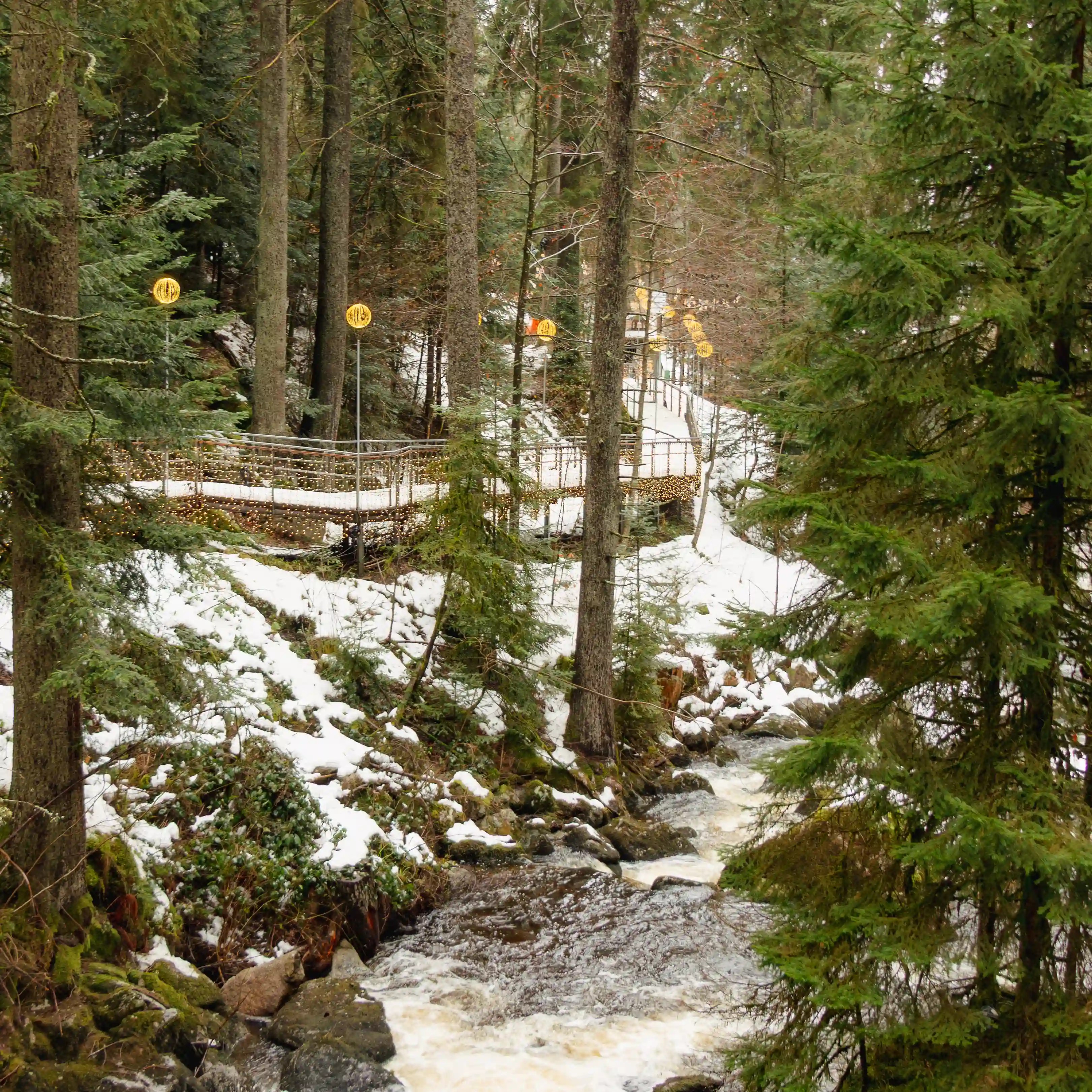 Wooden walkway decorated with lights winding through the snowy Black Forest along the rushing Gutach River in Triberg, Germany.