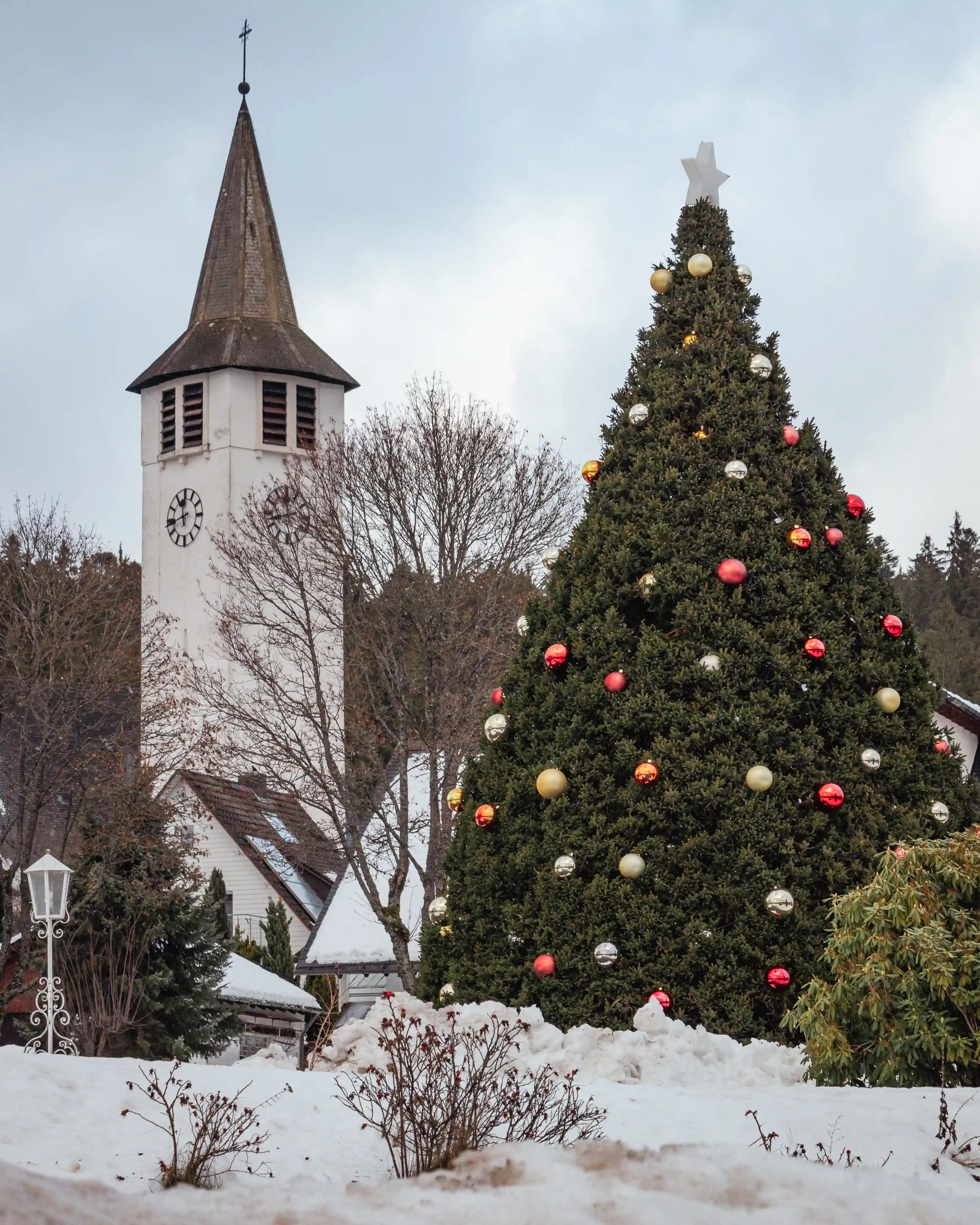 White church tower with clock beside a large decorated Christmas tree in Titisee, Germany, surrounded by snow.