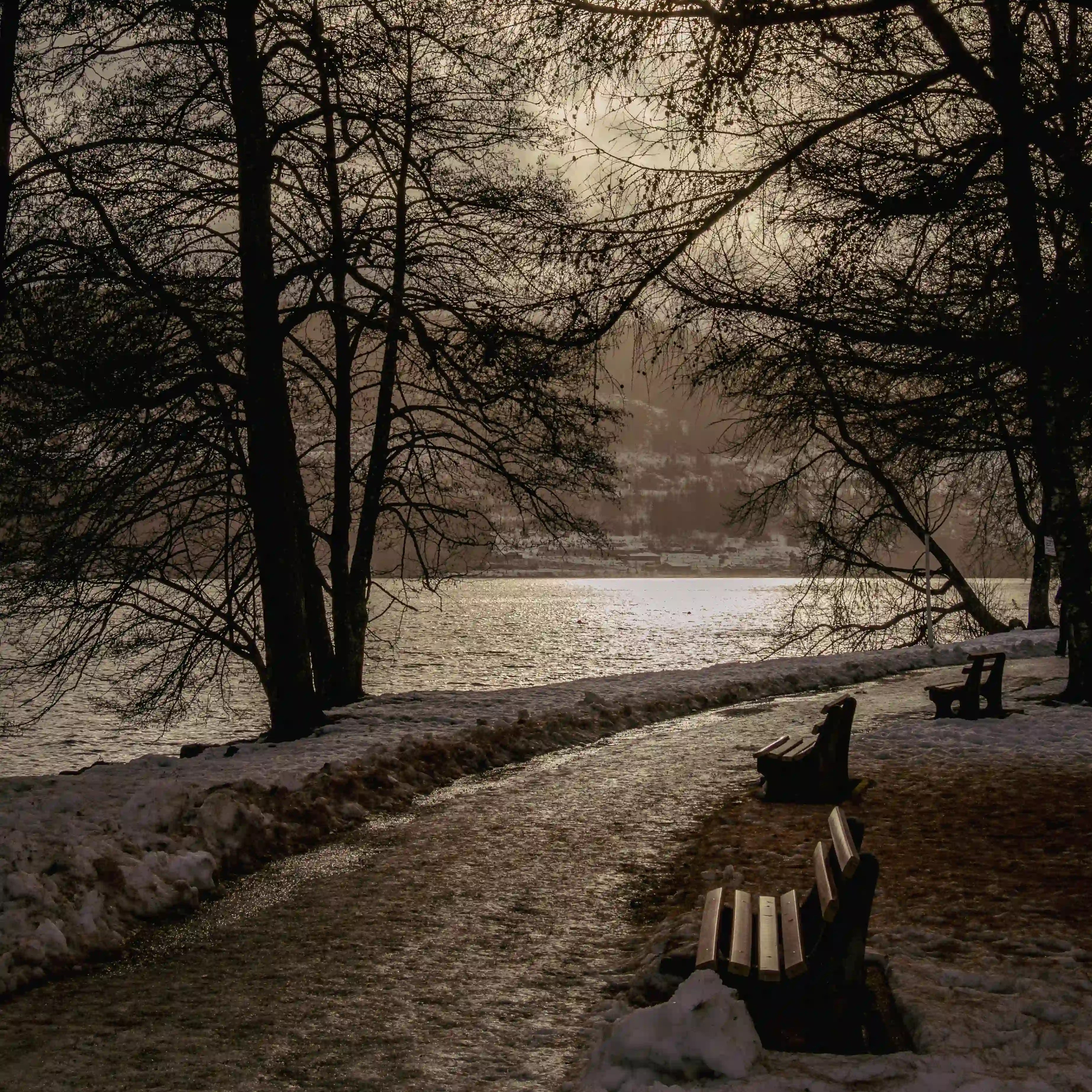 Wooden benches along a snowy lakeside path with the sun glowing through trees over Lake Titisee.